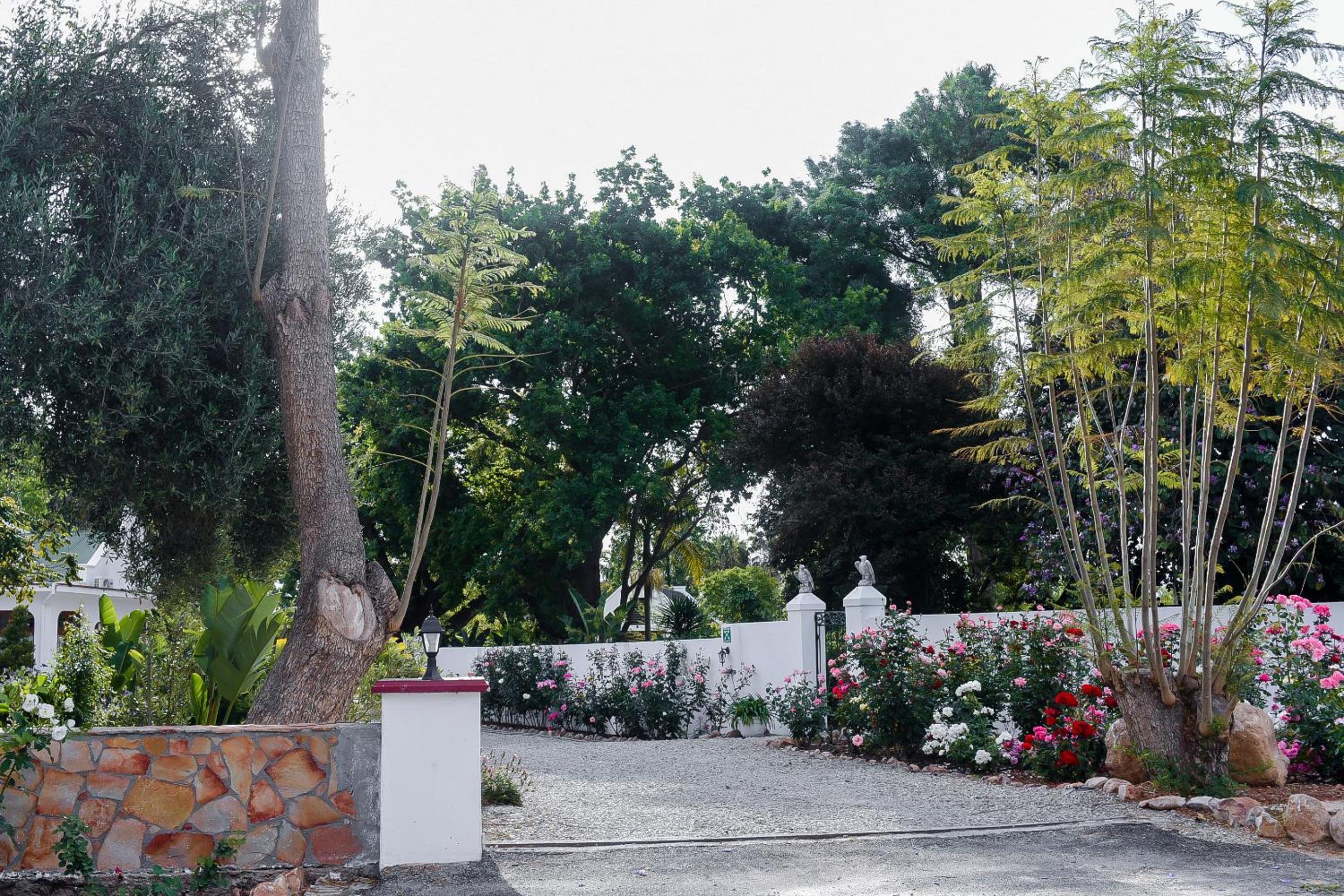Green Olive Guesthouse