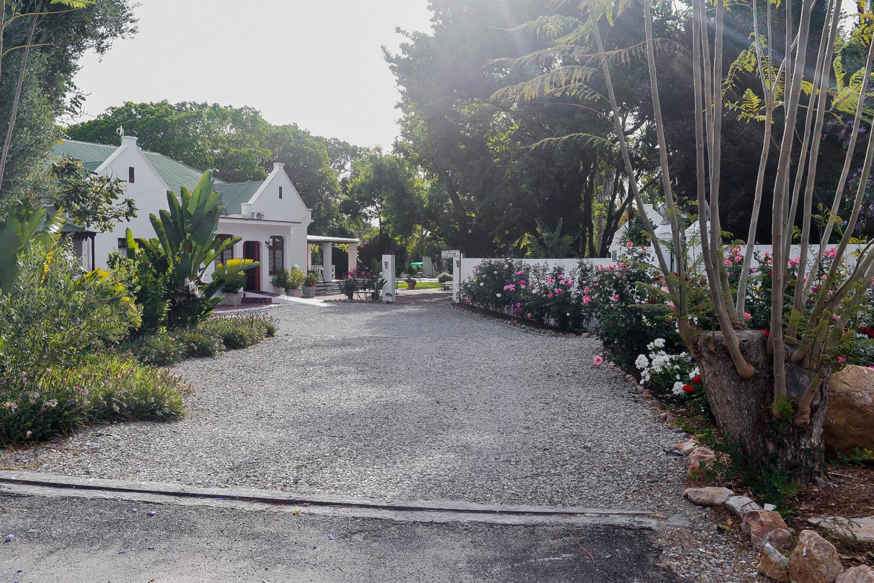 Green Olive Guesthouse