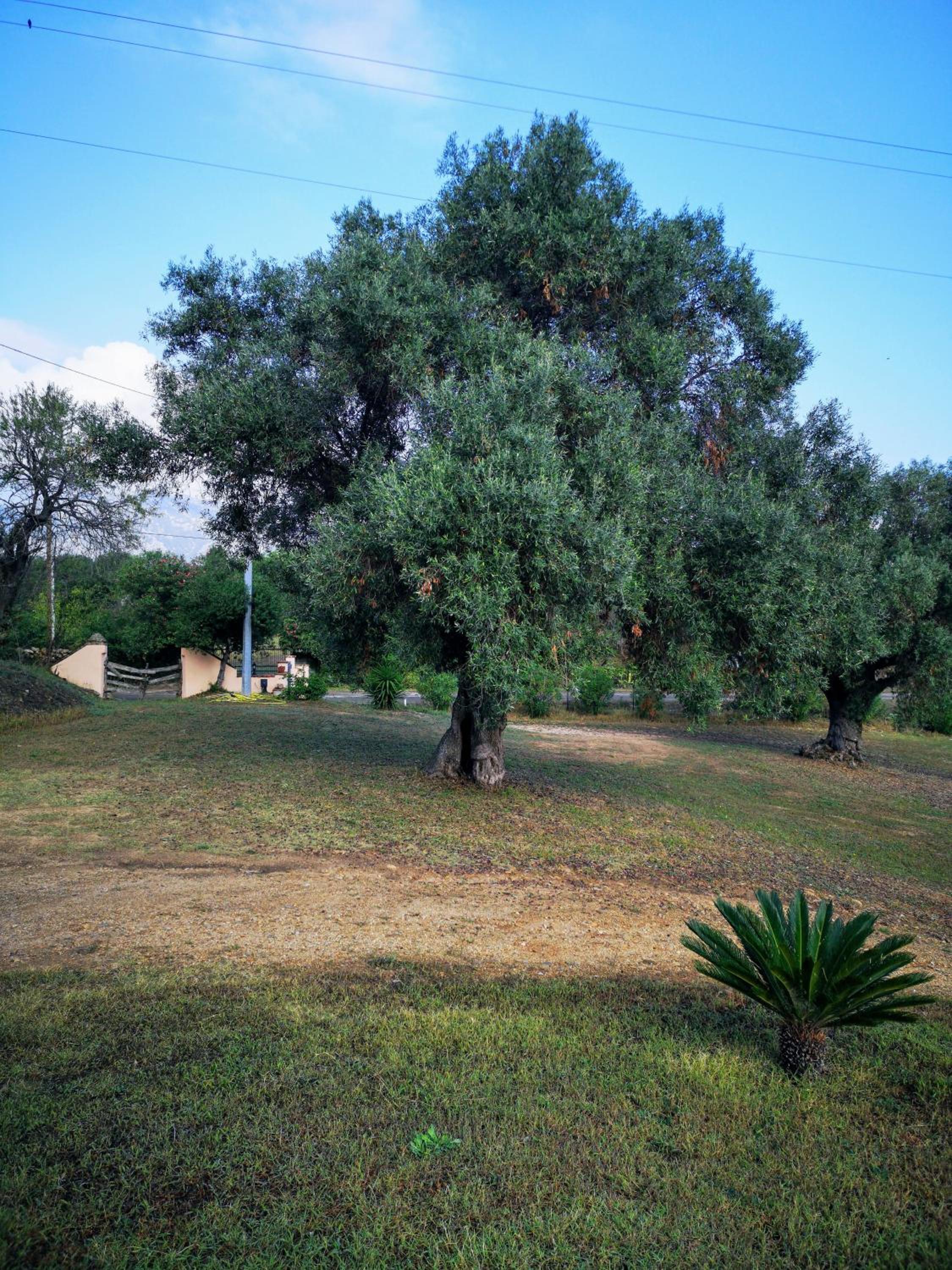 Photo 32