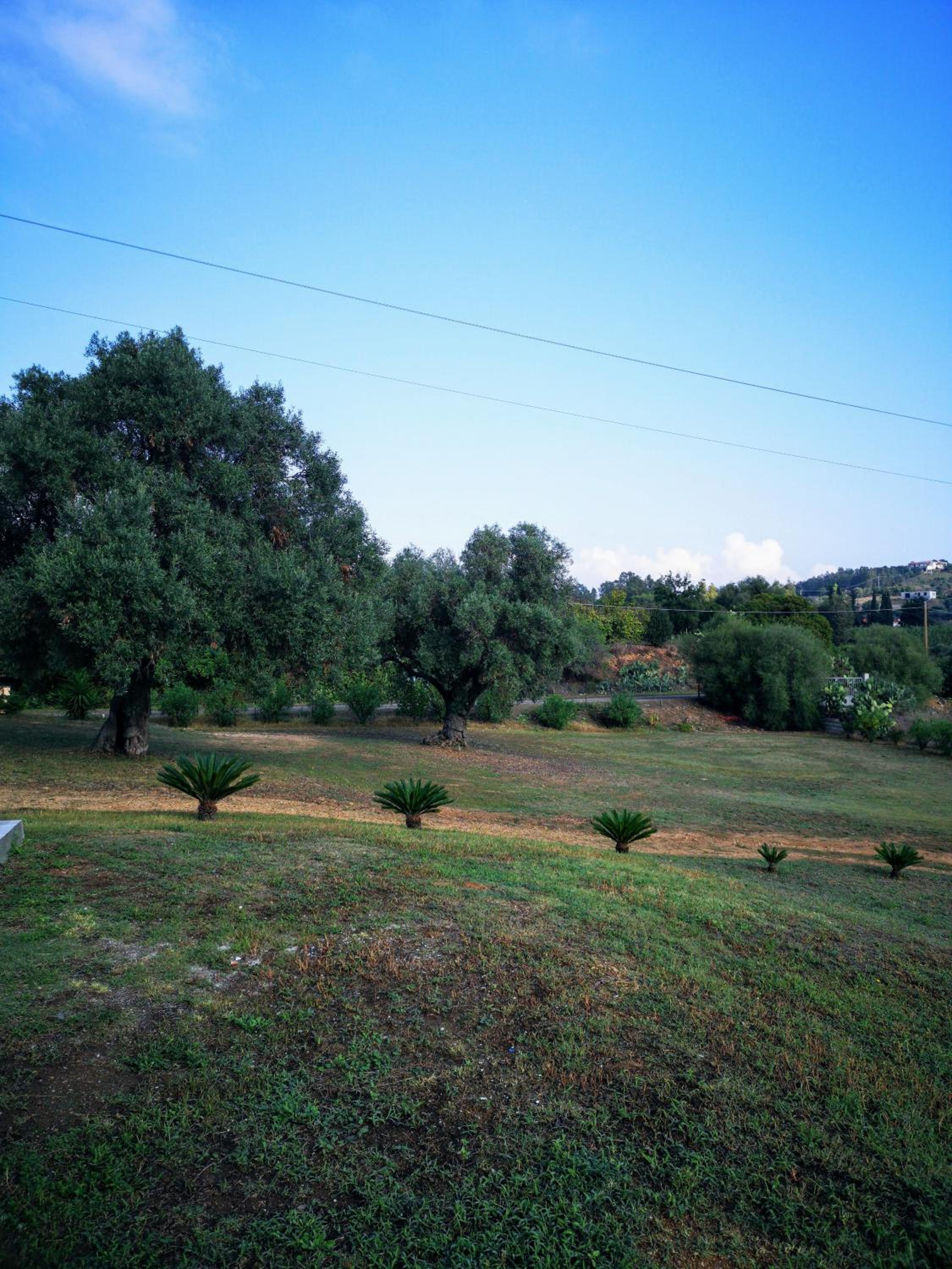 Photo 30