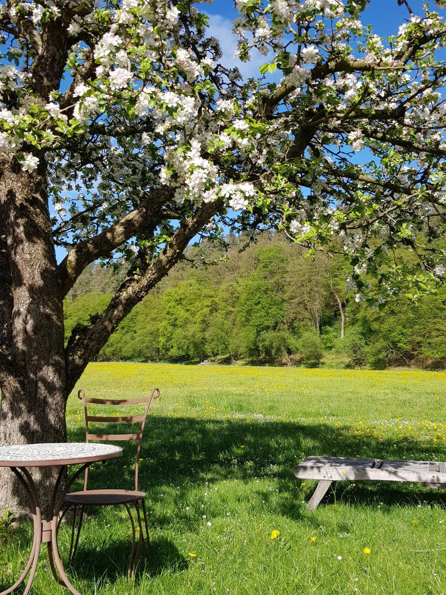 Holzhauser Hof view 4