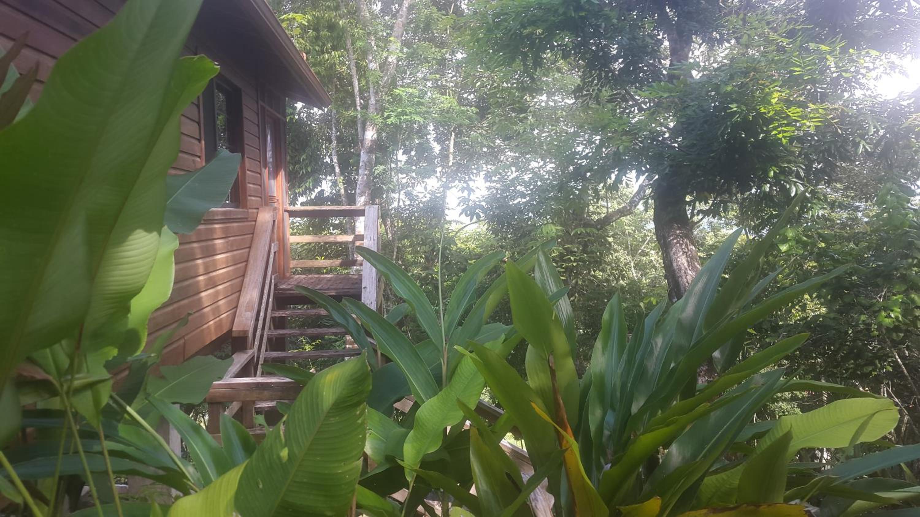 Santa Cruz Cabins