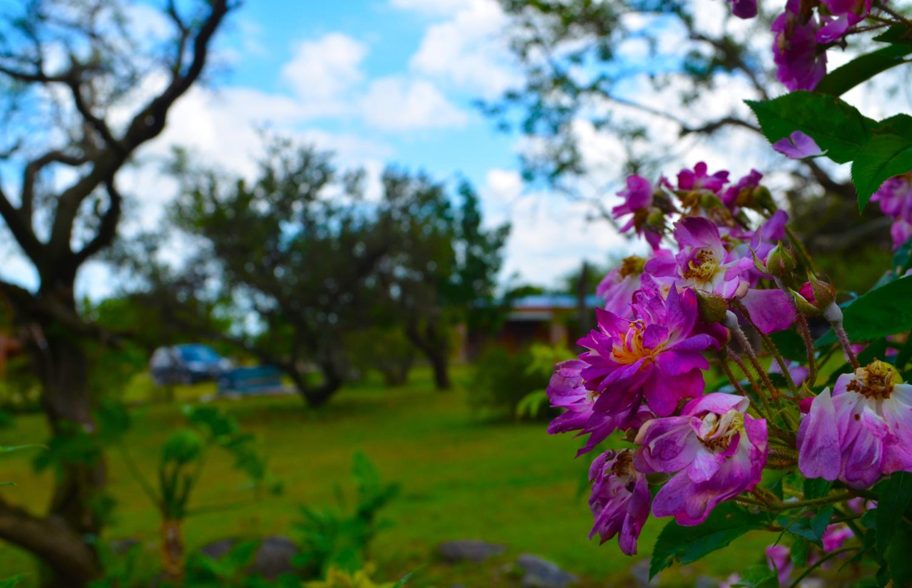 Cabañas LAGUNA AZUL -Los Molles - San Luis