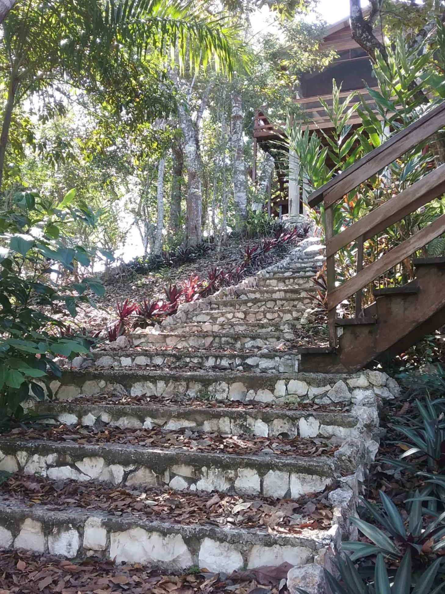Santa Cruz Cabins