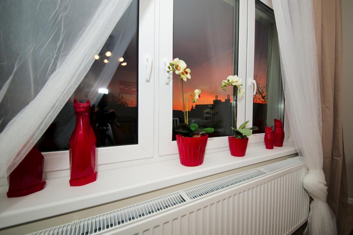 Apartament Kościuszko view 4
