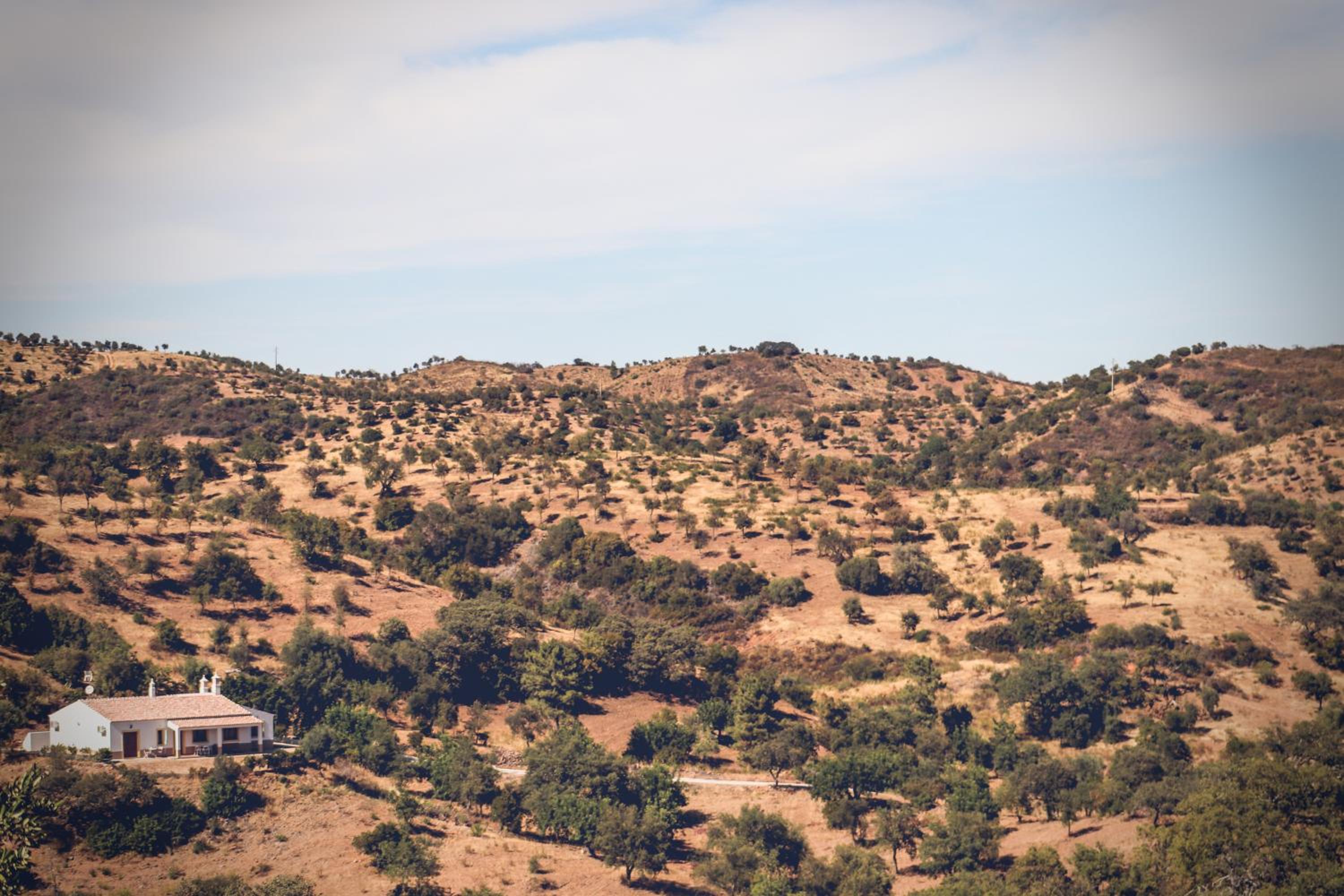Herdade Da Corte view 3