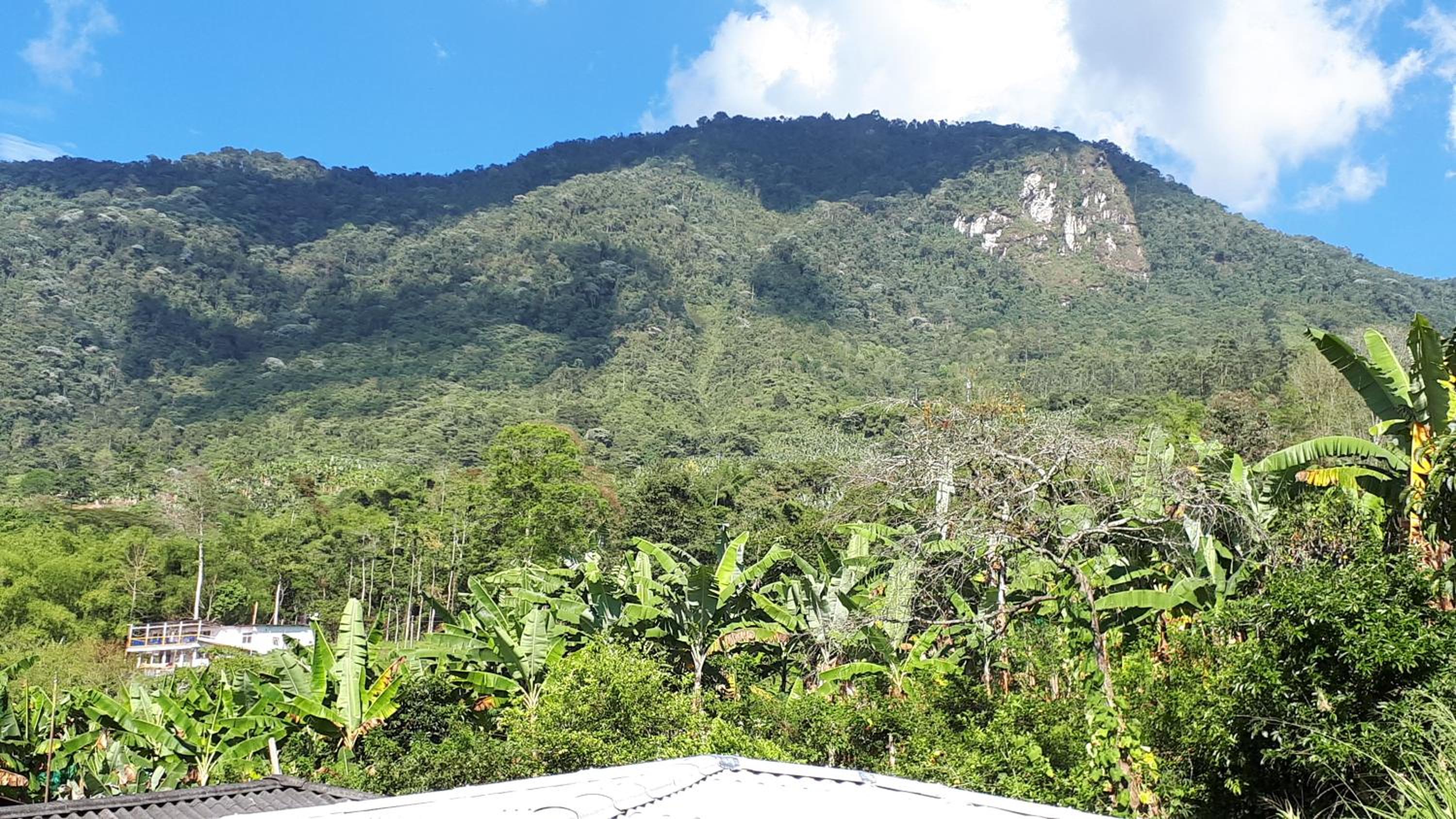 Finca Bella Vista