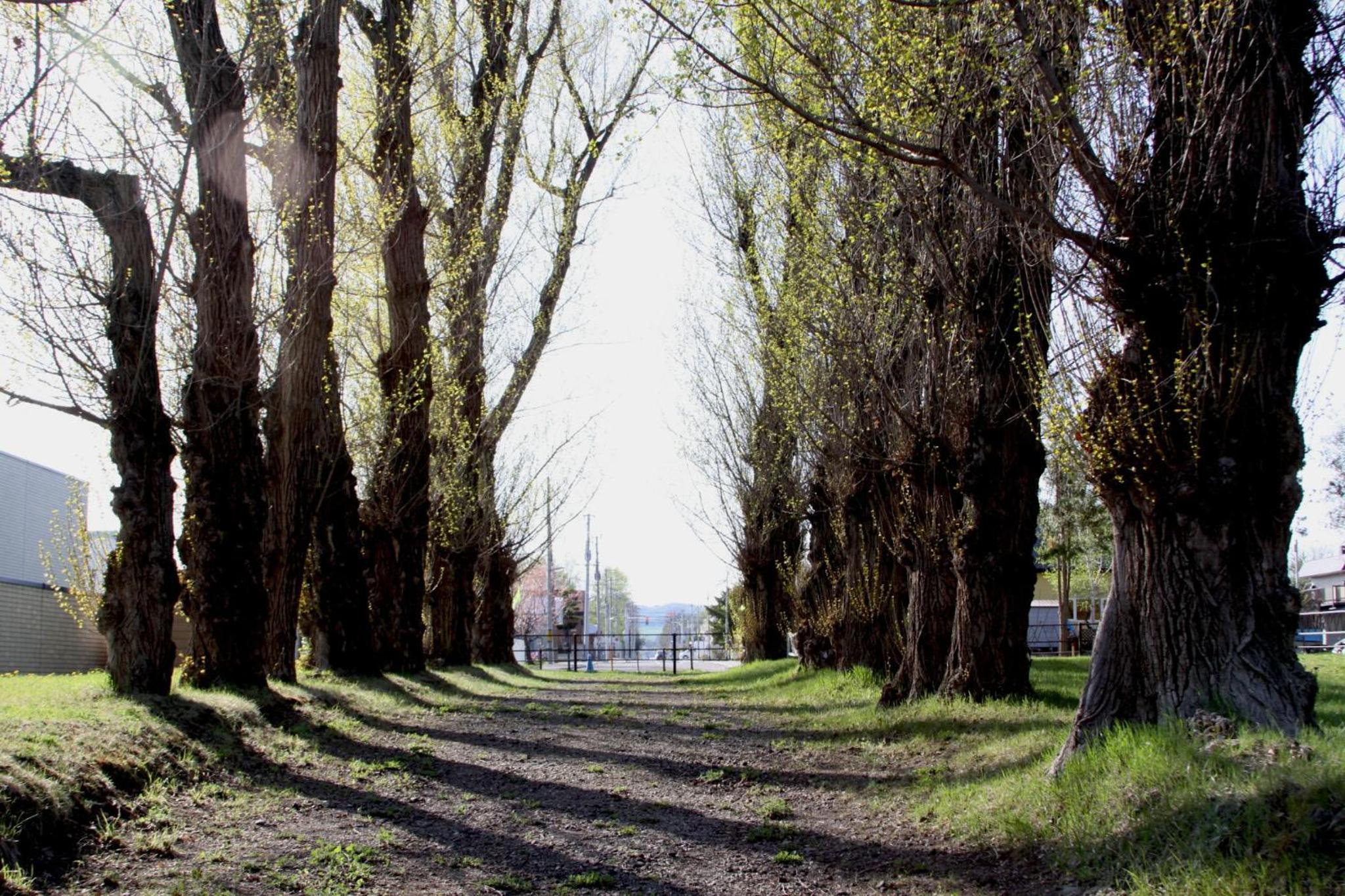 Photo 38