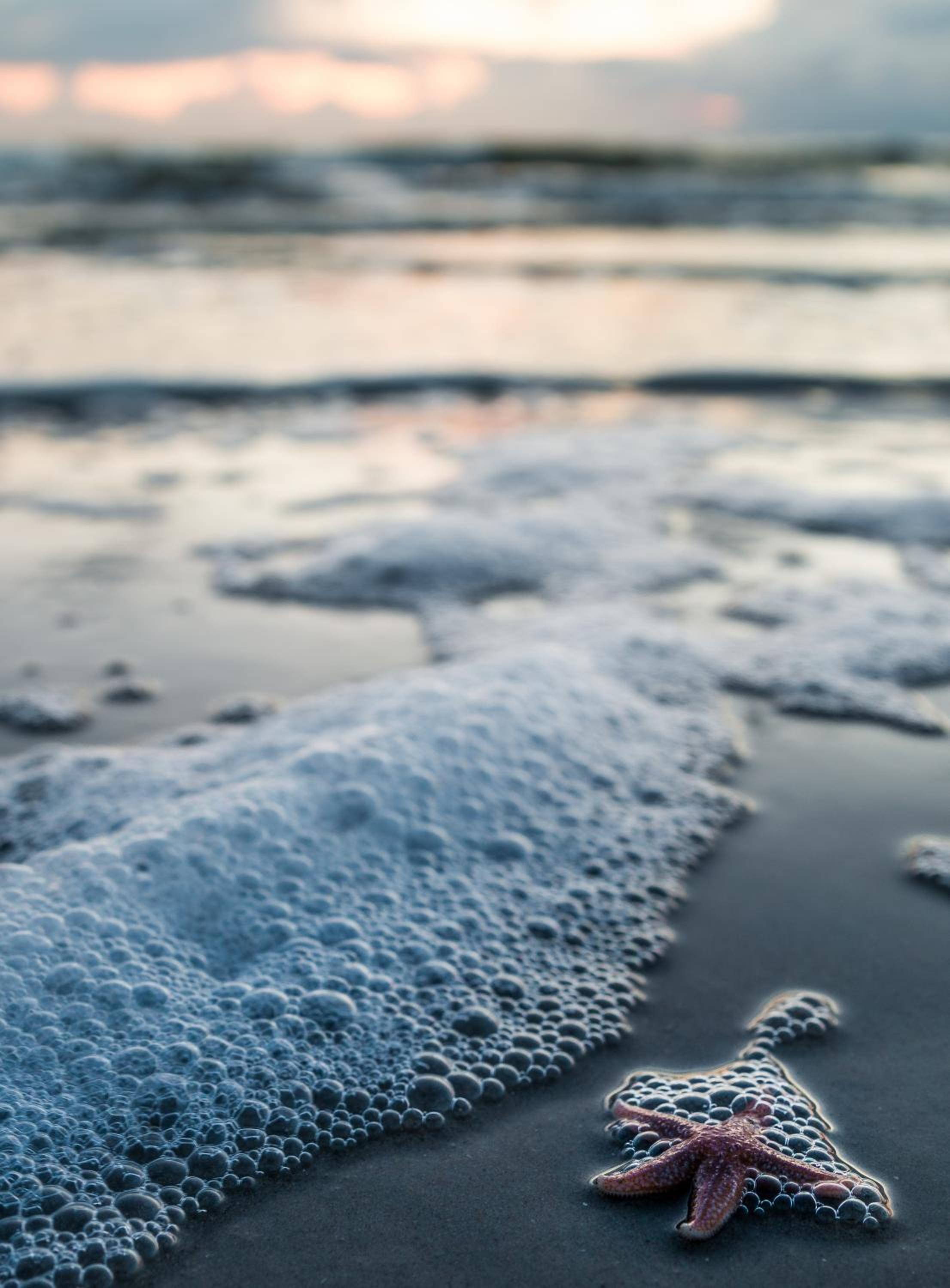 Strandbude Borkum