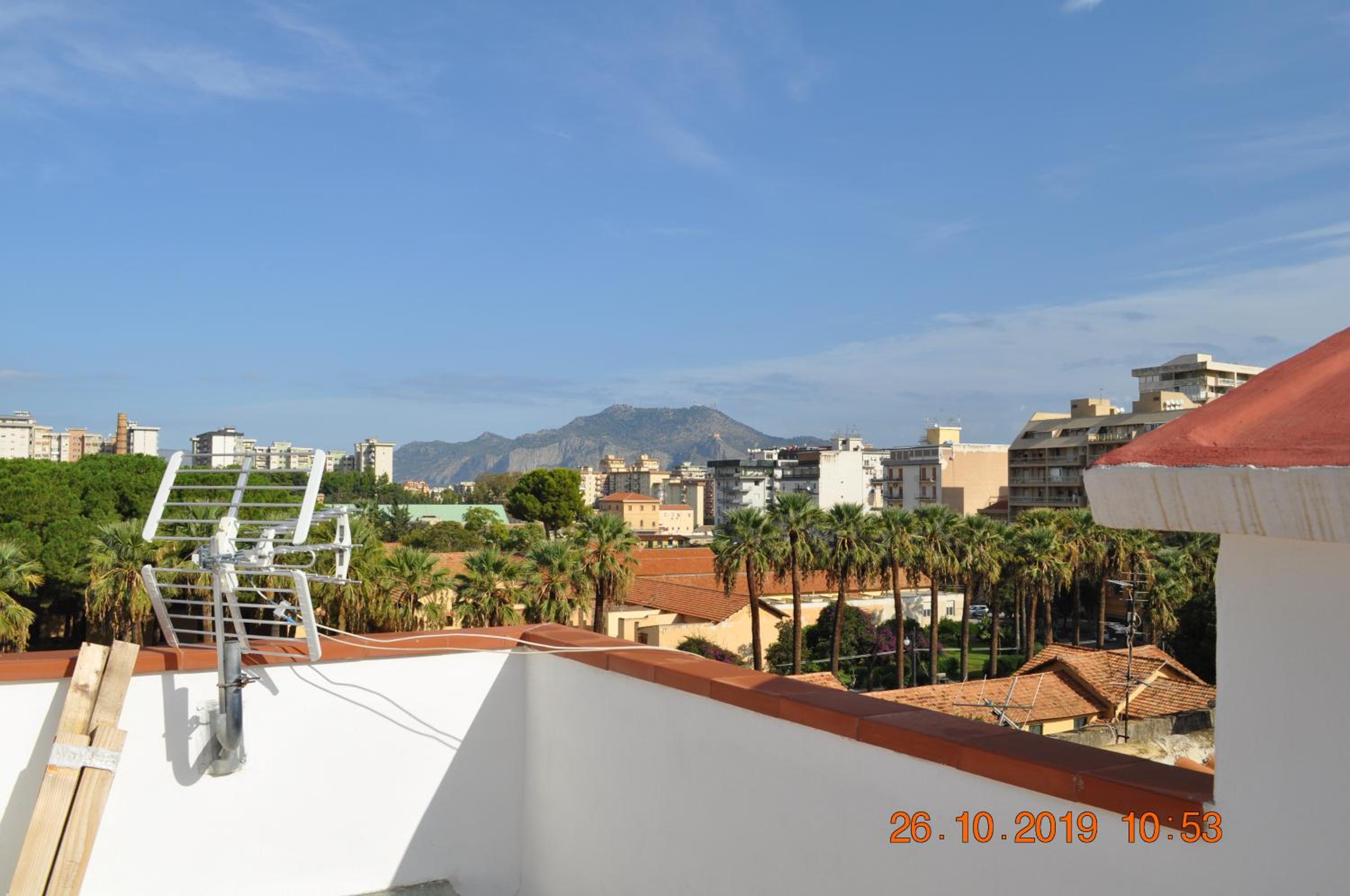 roof