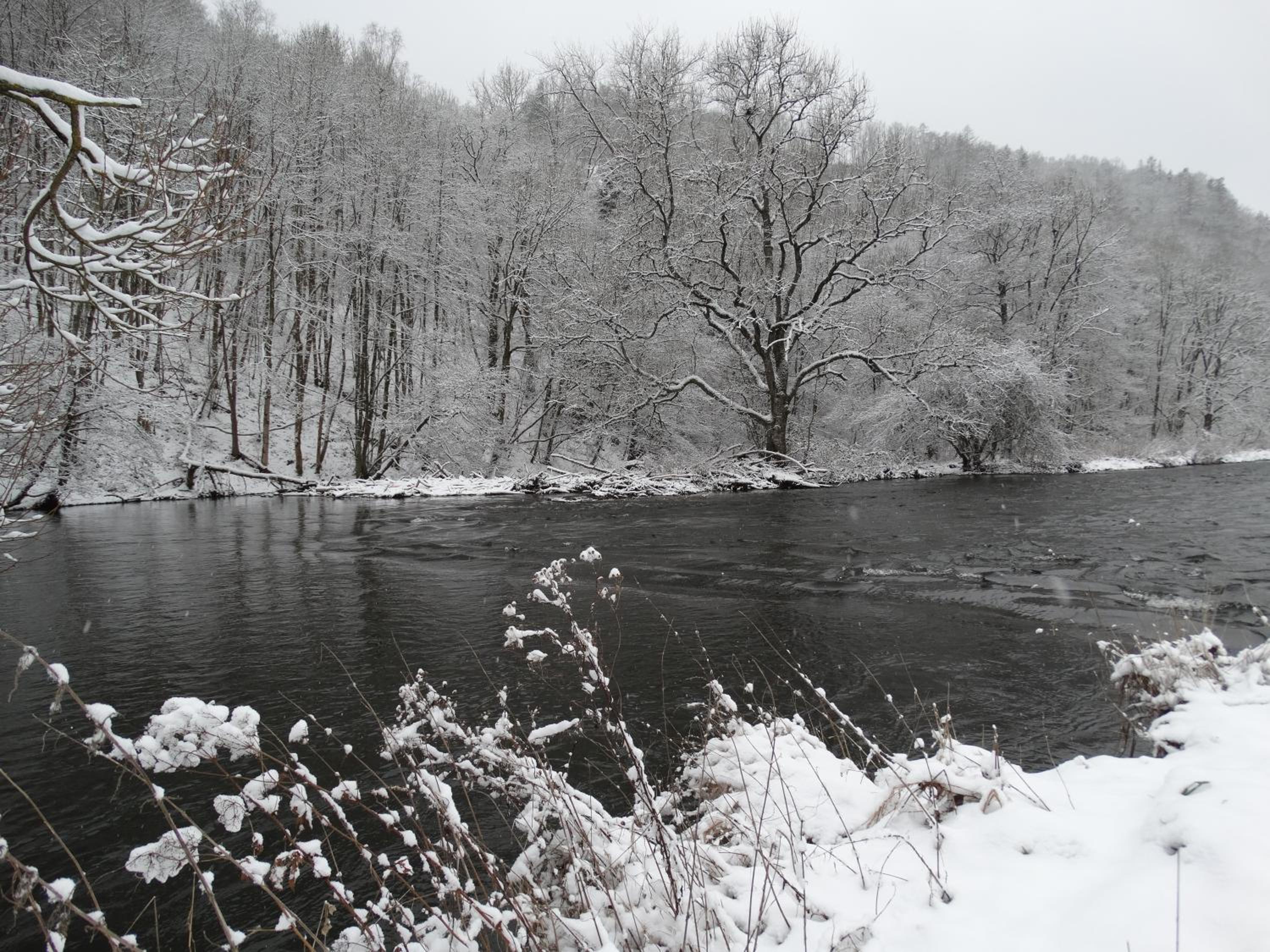 Relais des Eveux view 4