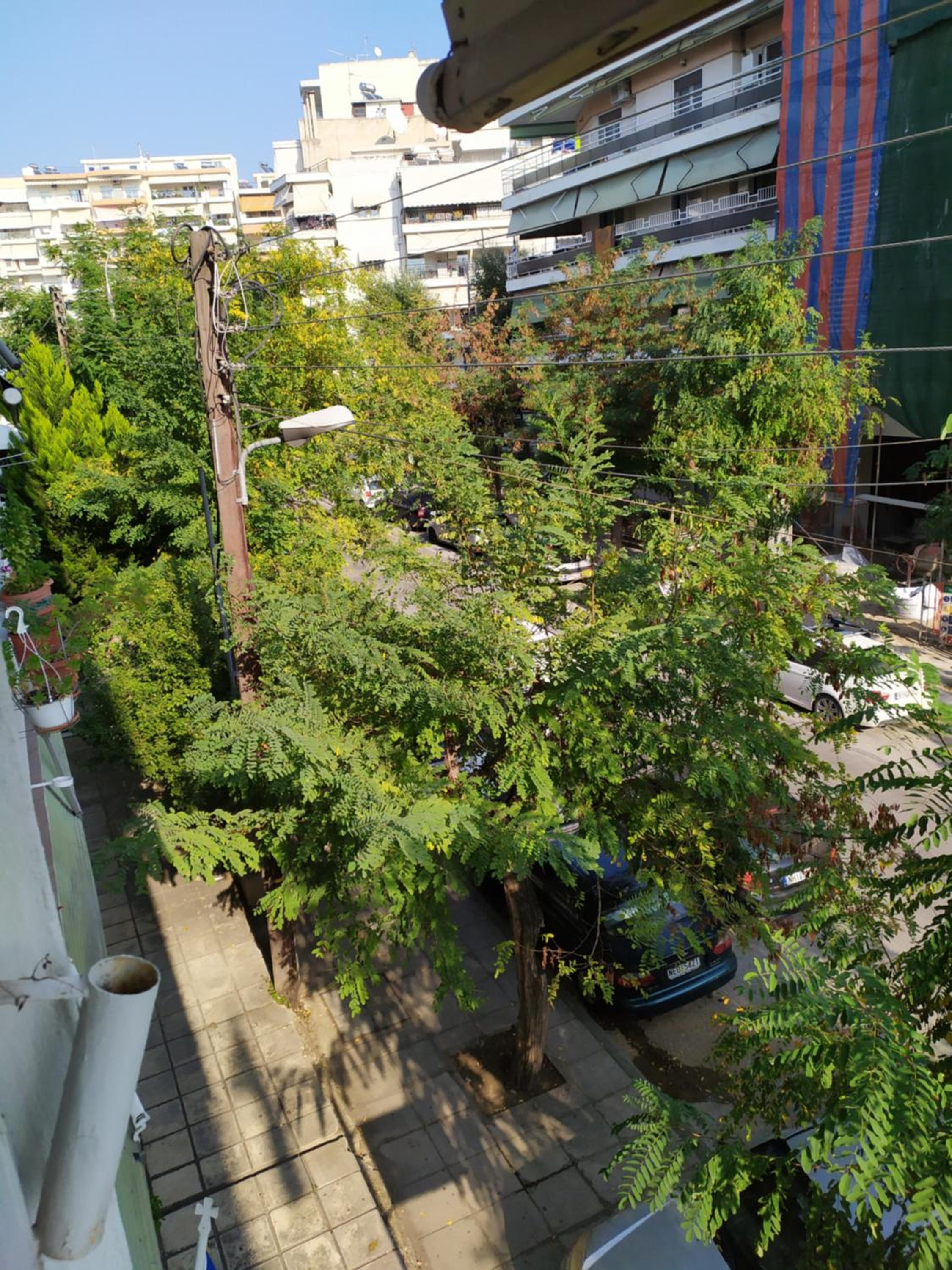 Fenia's Apartment view 3