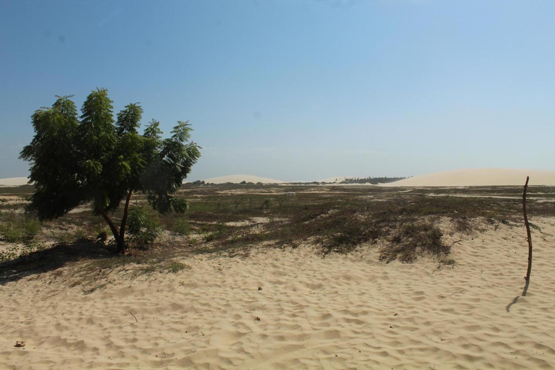 Villa Dunas Jeri