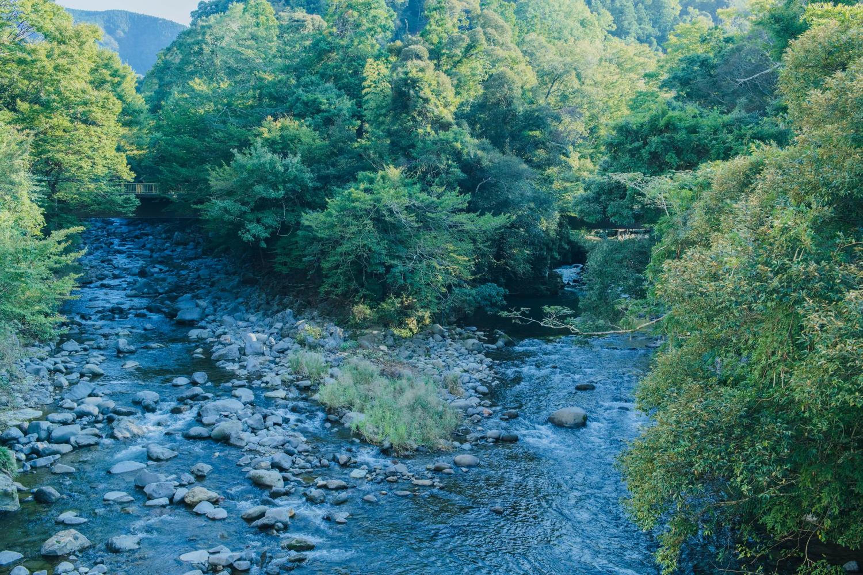 Ochiairo