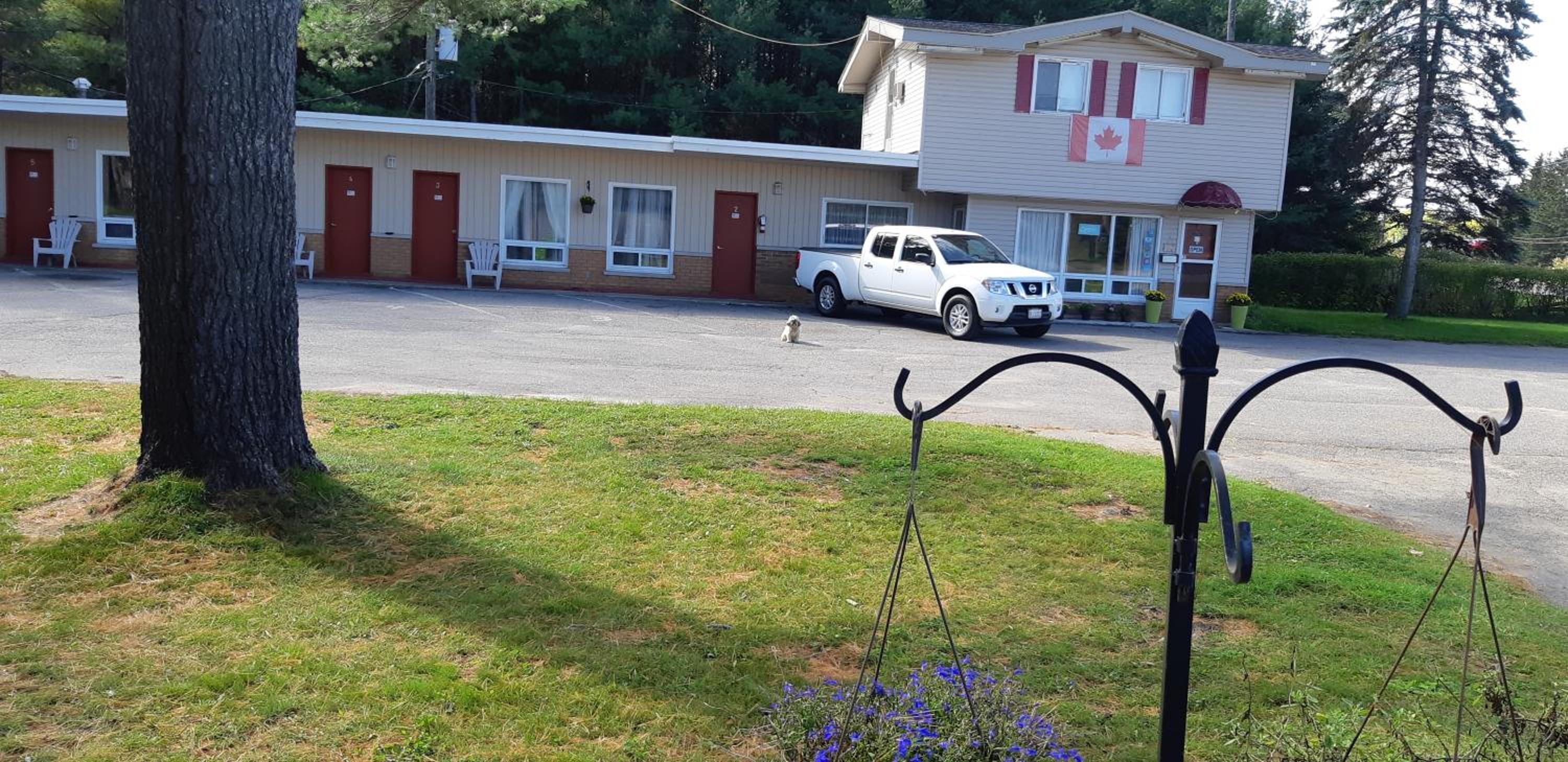 Pine Grove Motel view 5