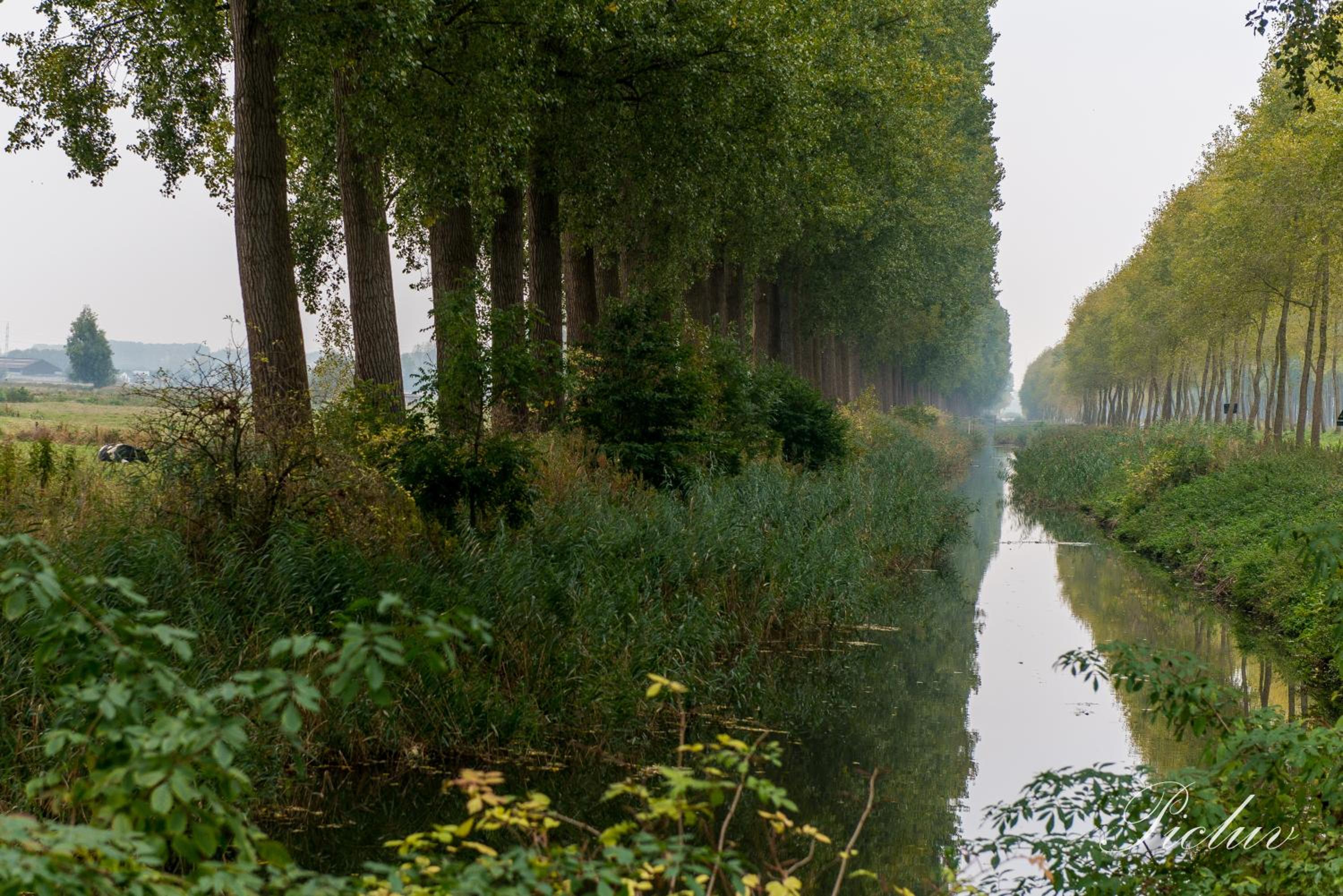 De Lievensmolen