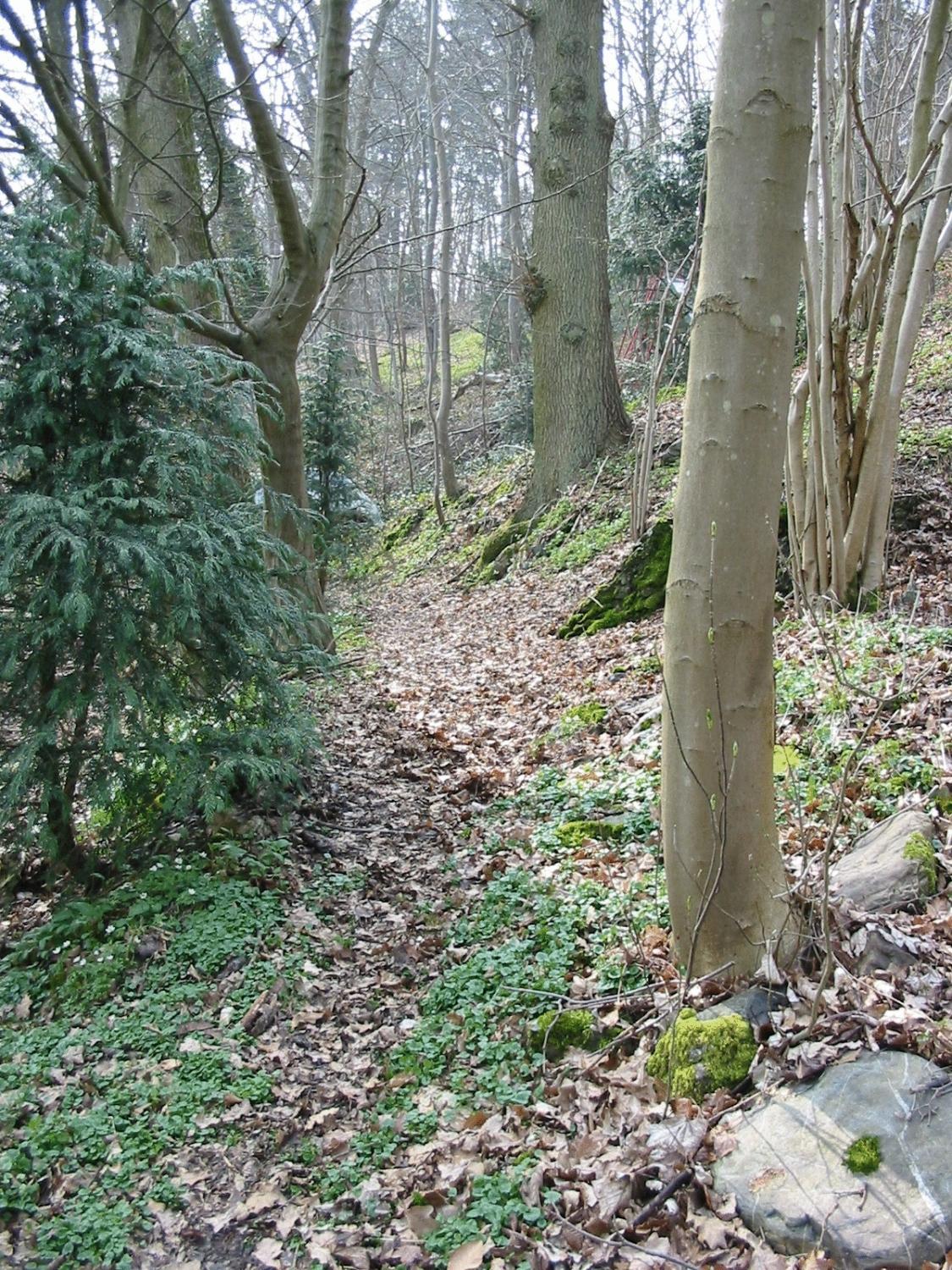 New-Castle