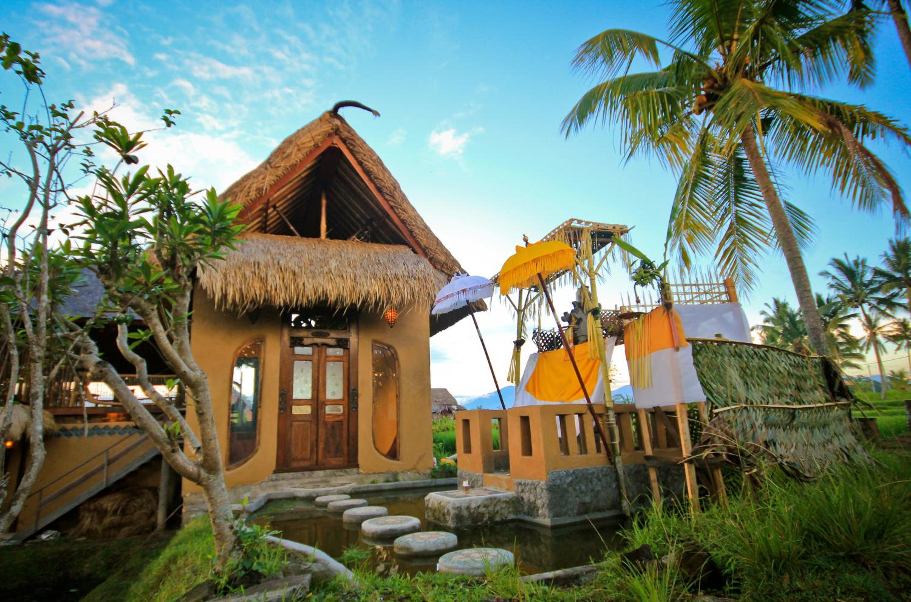Dragonfly Village
