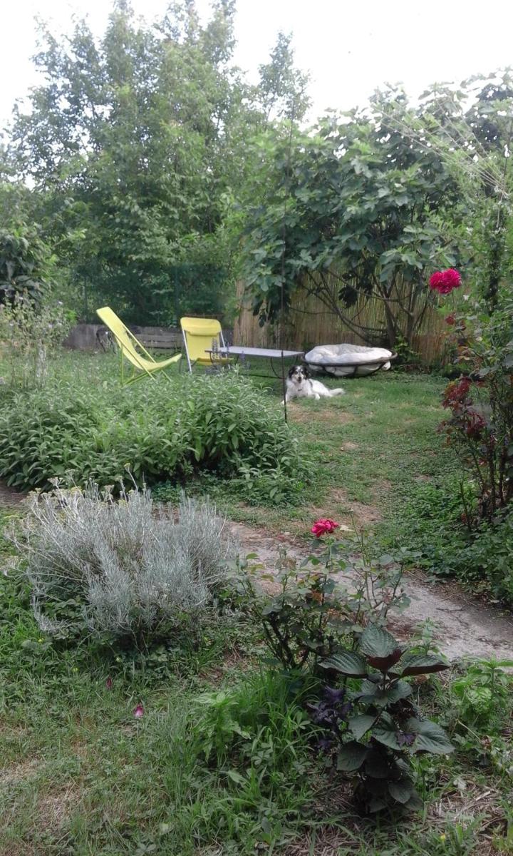 Photo 14