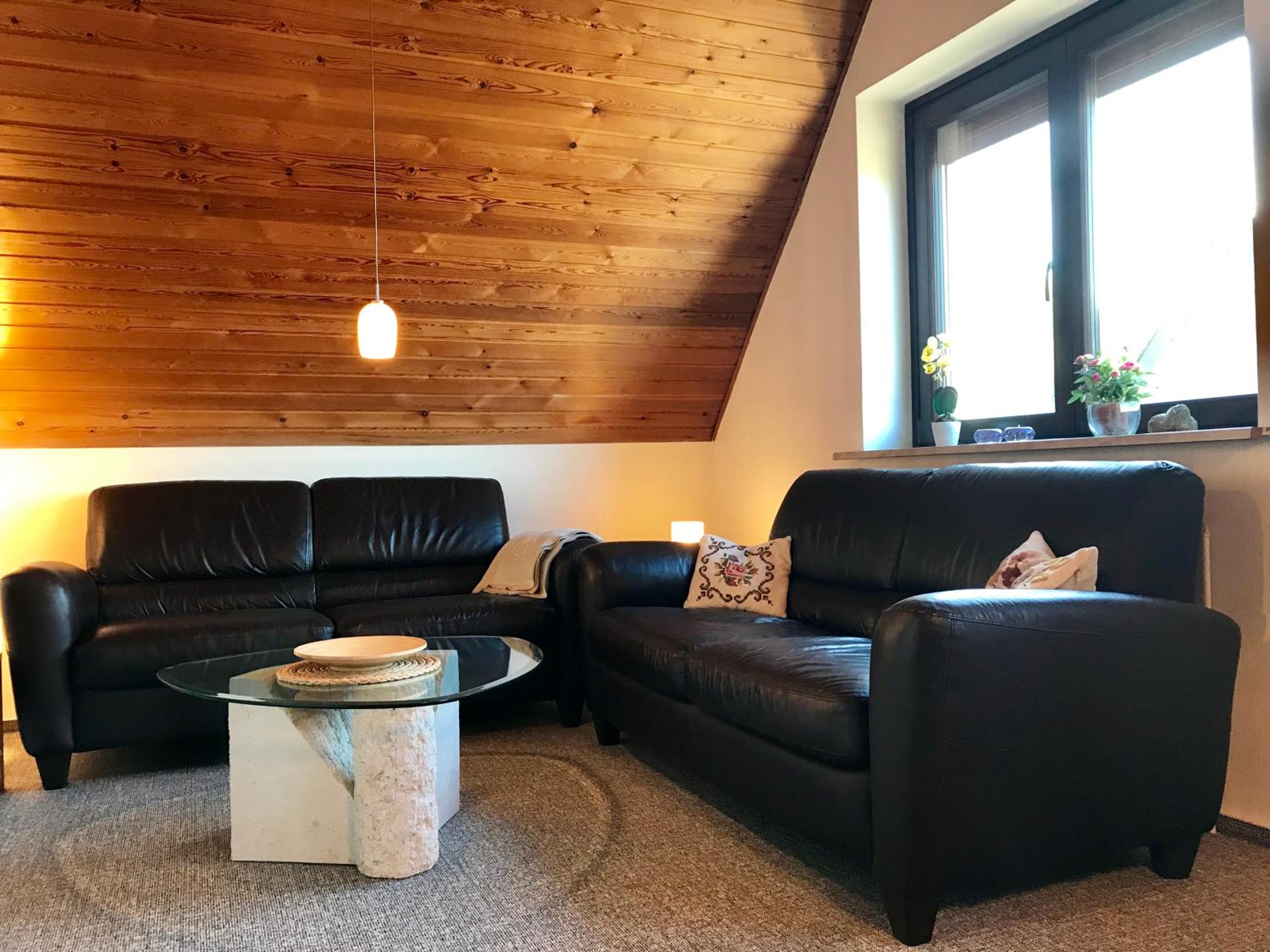 MAL Steinbock _ Ferienwohnung Anni view 5