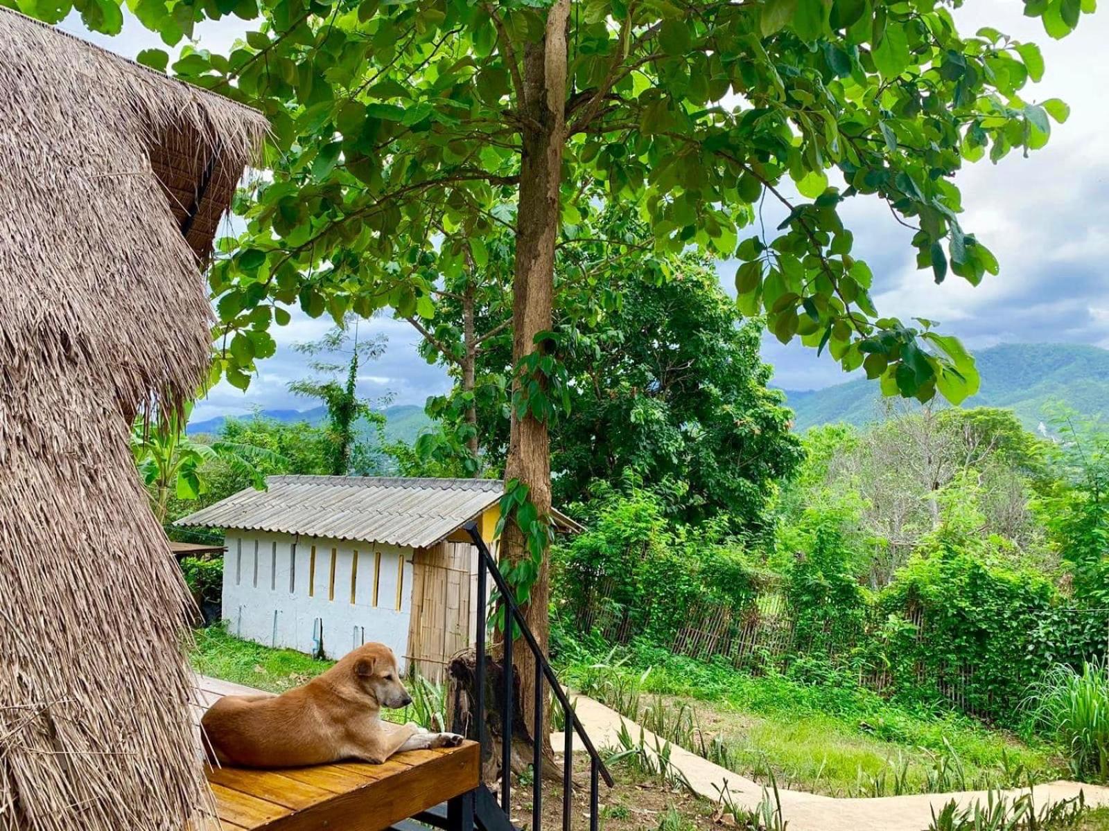 Pai Yard Guest House
