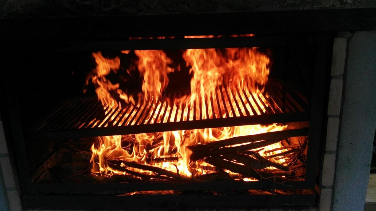Photo 44