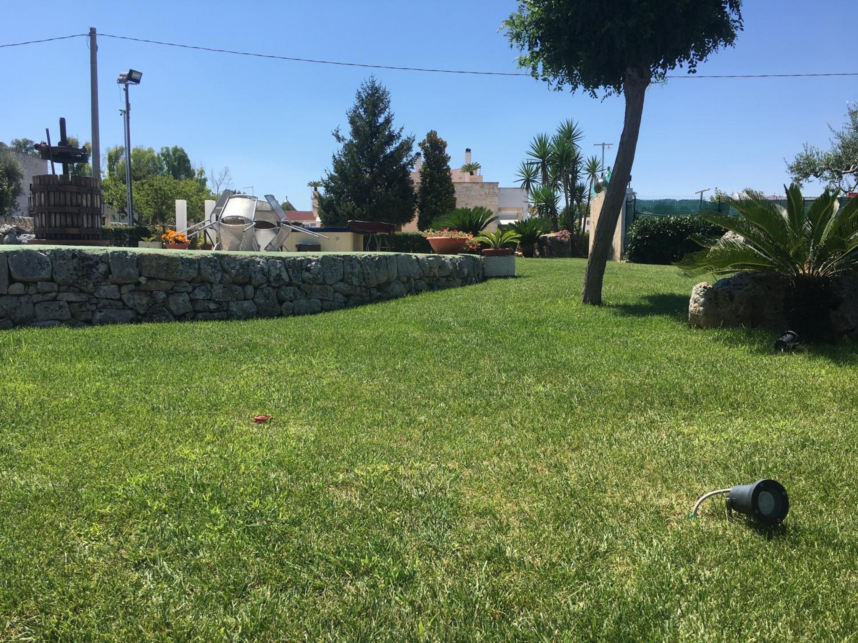 Photo 39