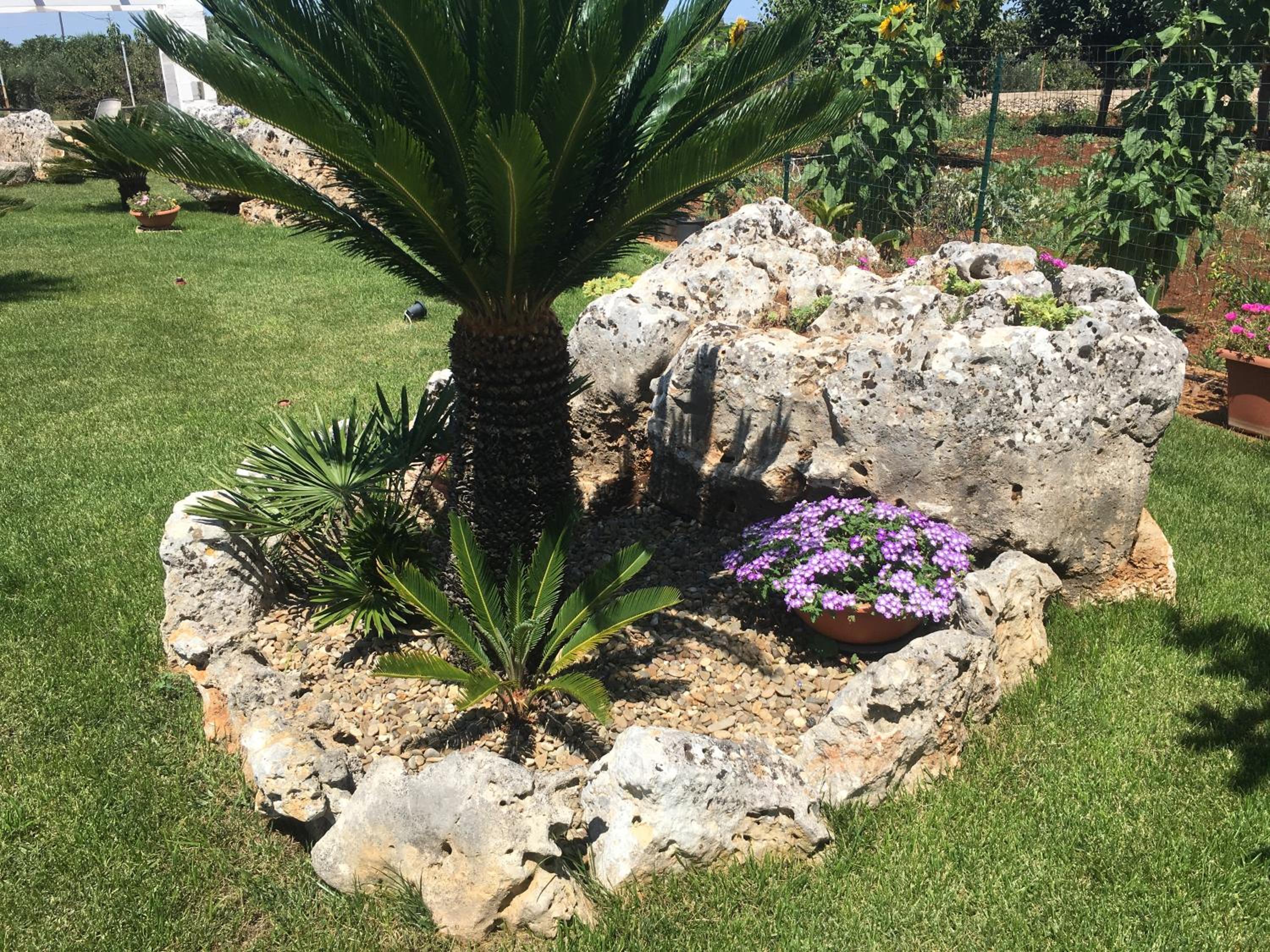 Photo 43