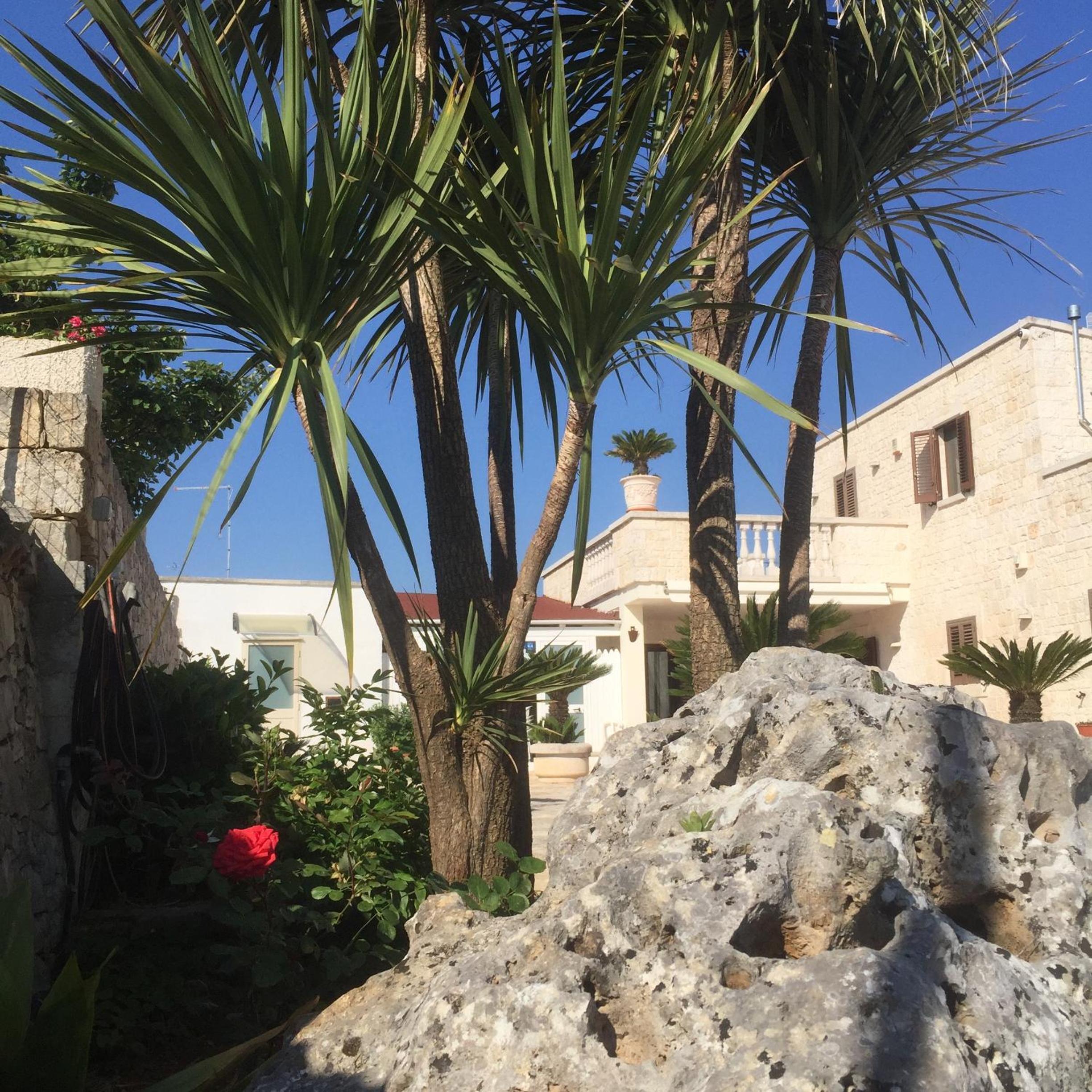 B&B Villa Grassi view 5