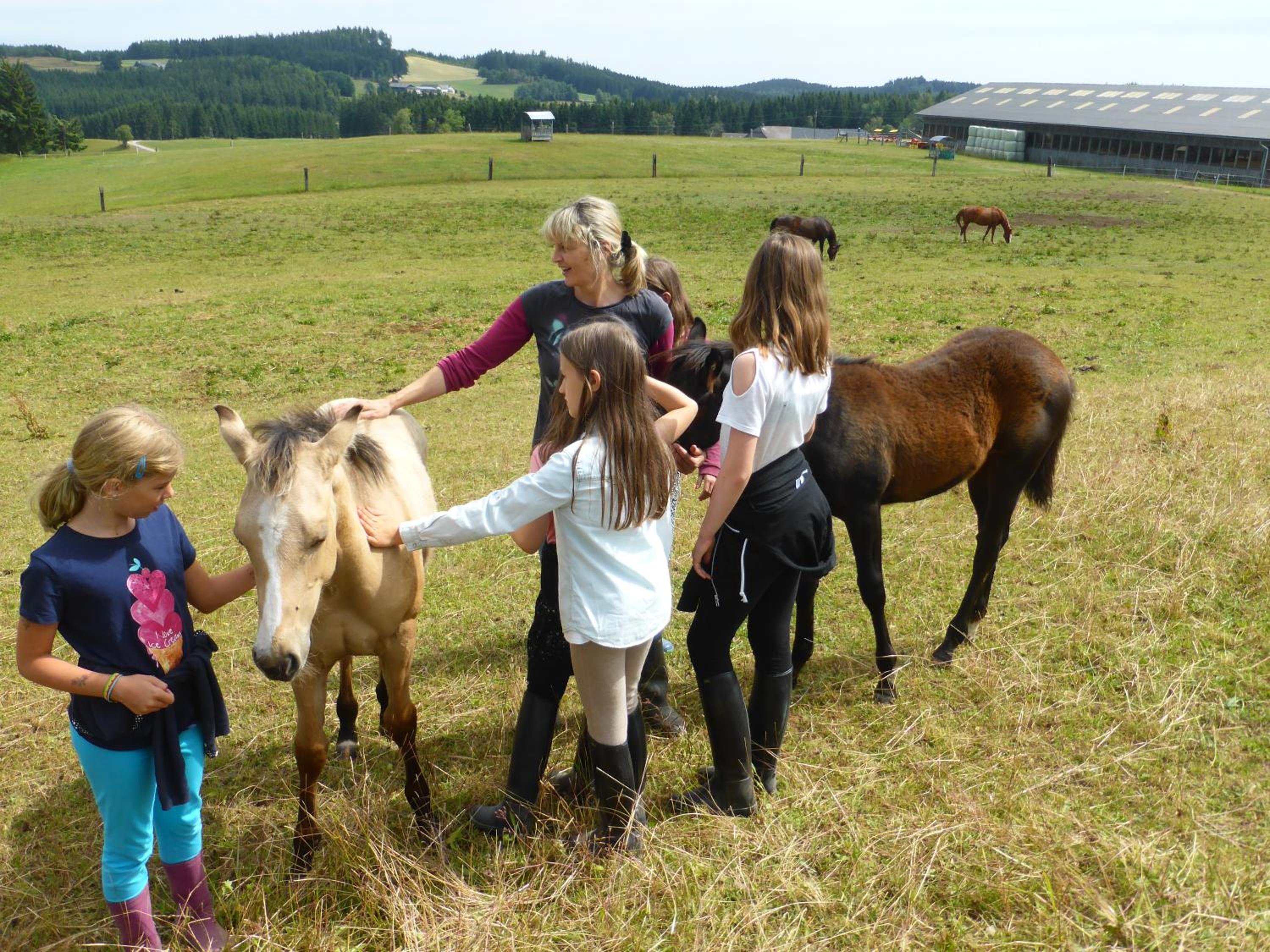 Espi-Stables Ferienhof Esterhammer view 3