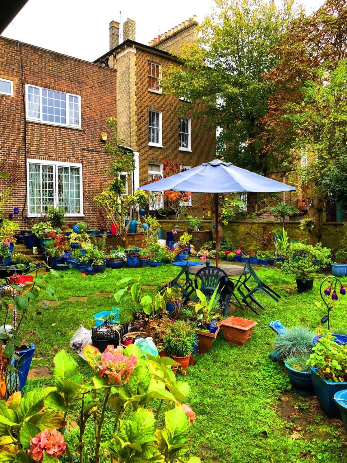garden