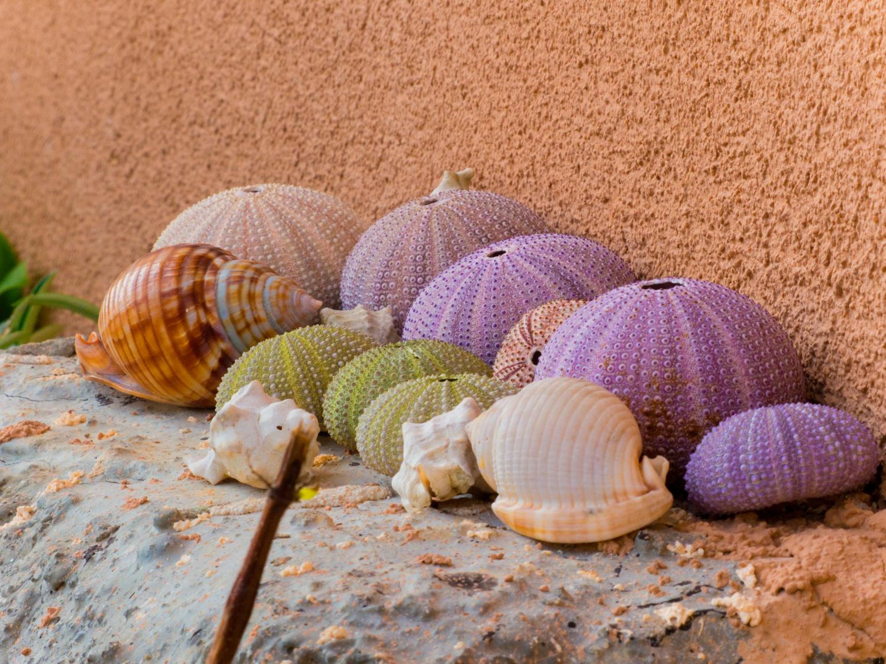Photo 45