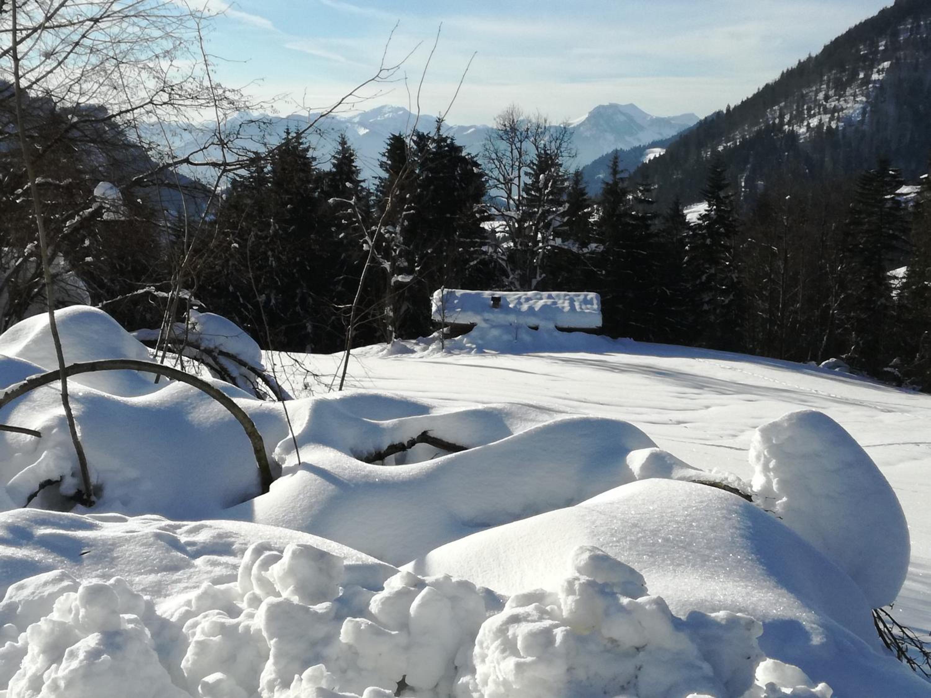 Karrerhof view 5