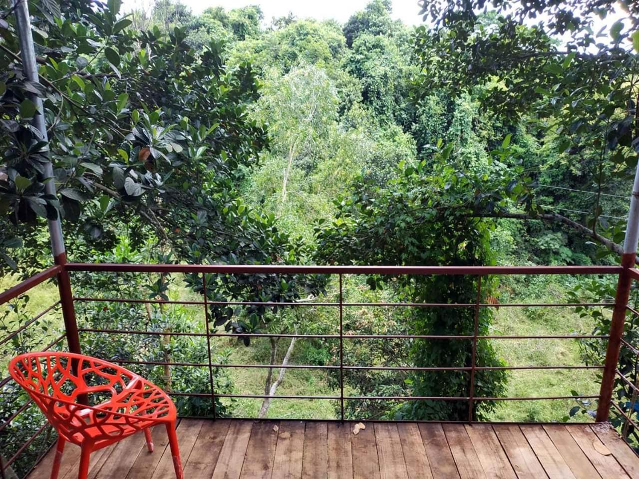 Jungle cottage