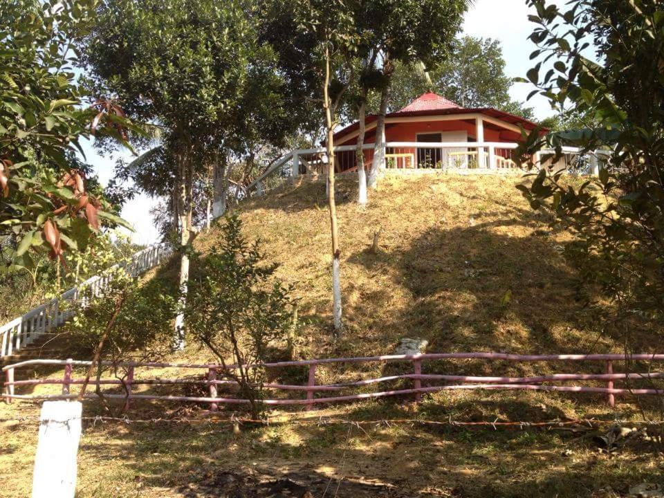 Jungle cottage