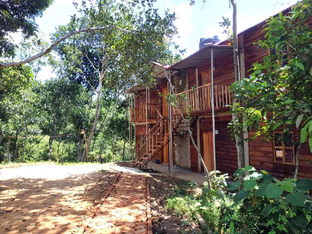 Jungle cottage