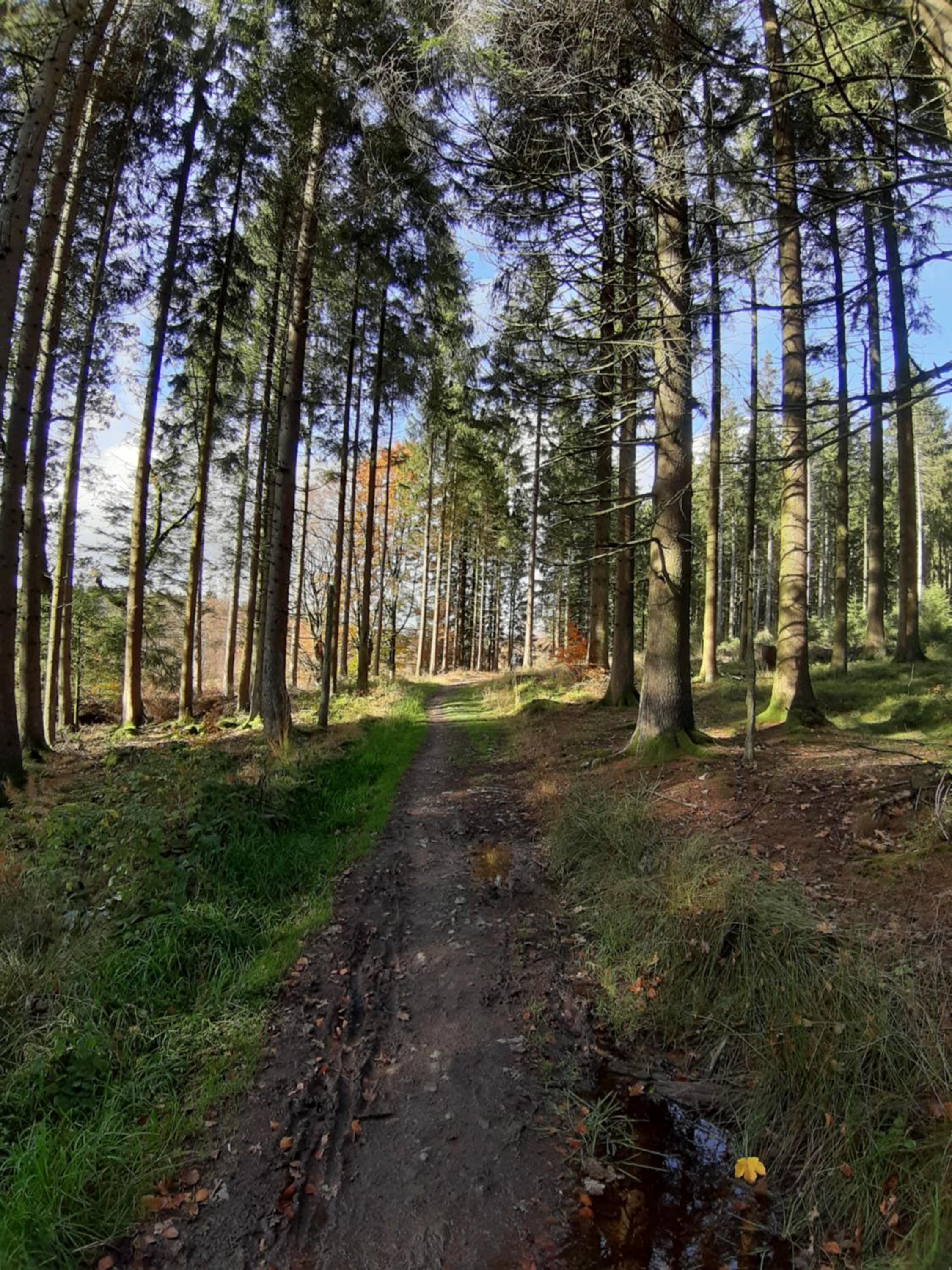 CHAL'Heureux, photo 13