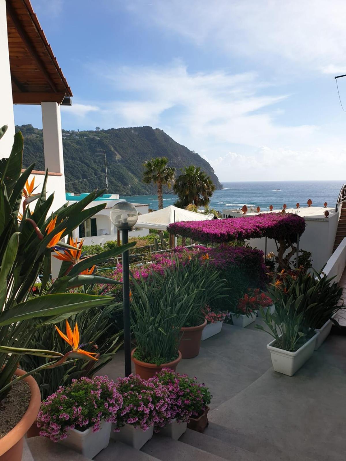 Villa Loreta