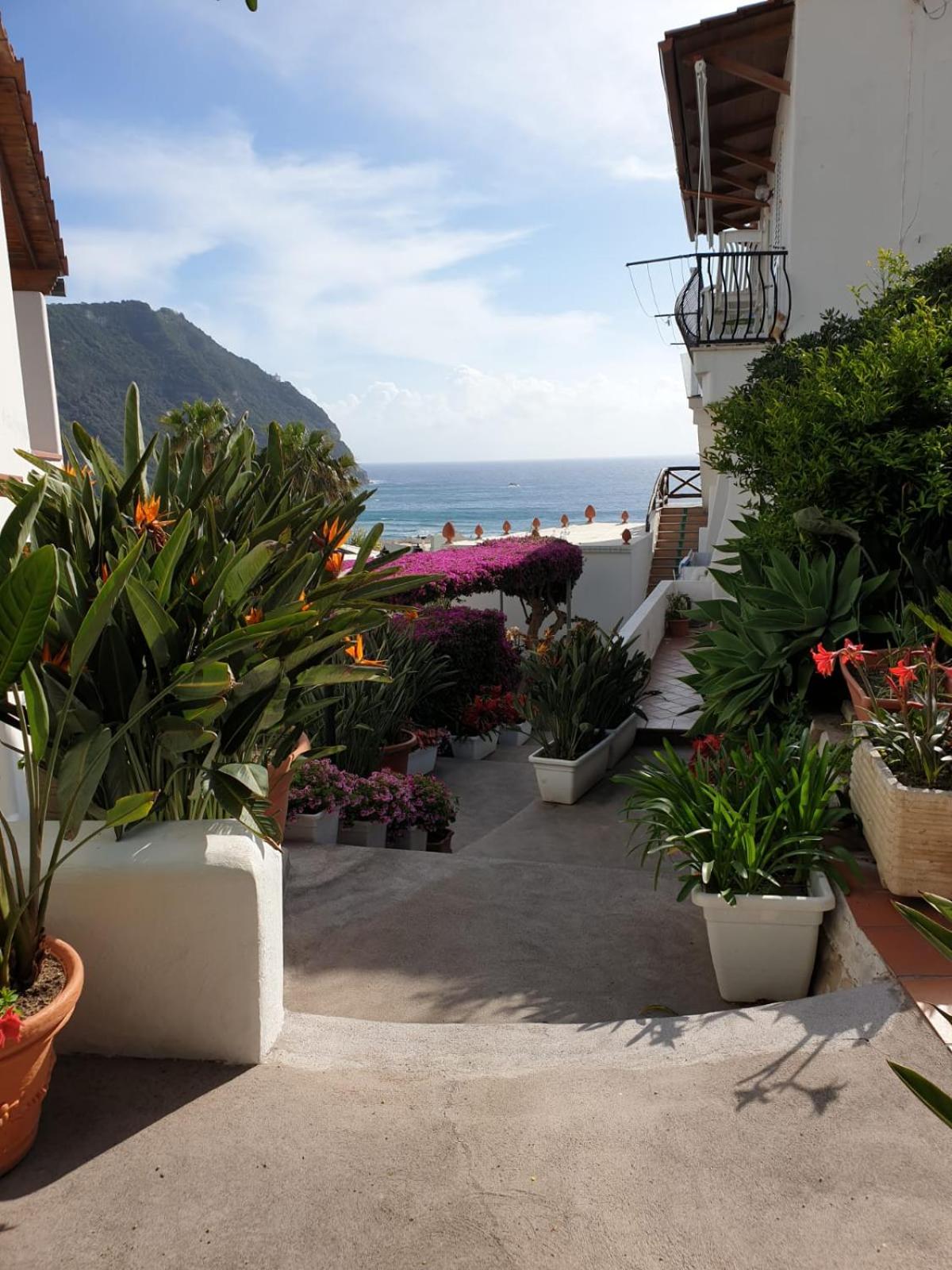 Villa Loreta