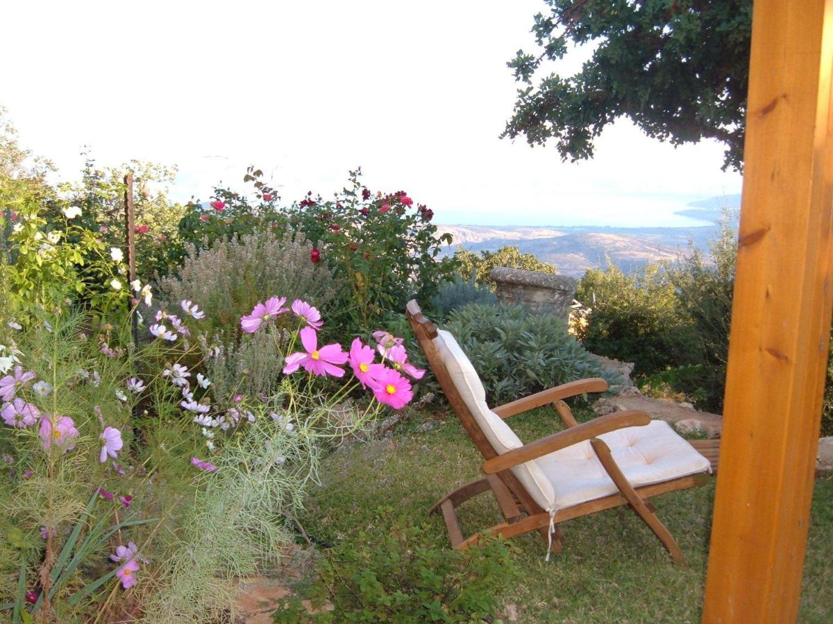 Rose Garden - Gan Vradim