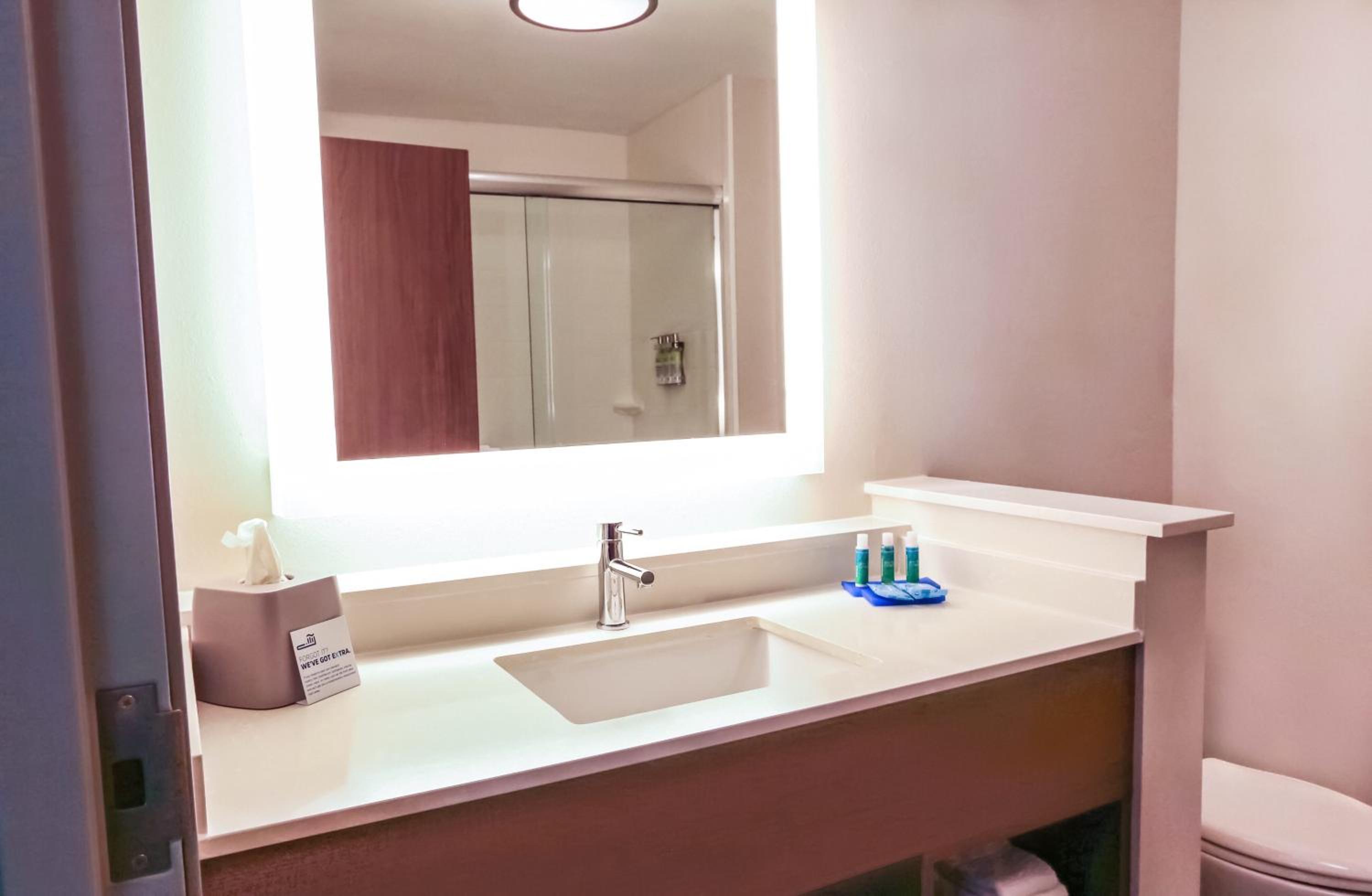Holiday Inn Express Suites - Houston IAH - Beltway 8, an IHG Hotel - Property Image 56