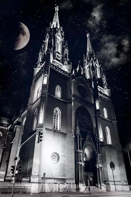 Photo 54