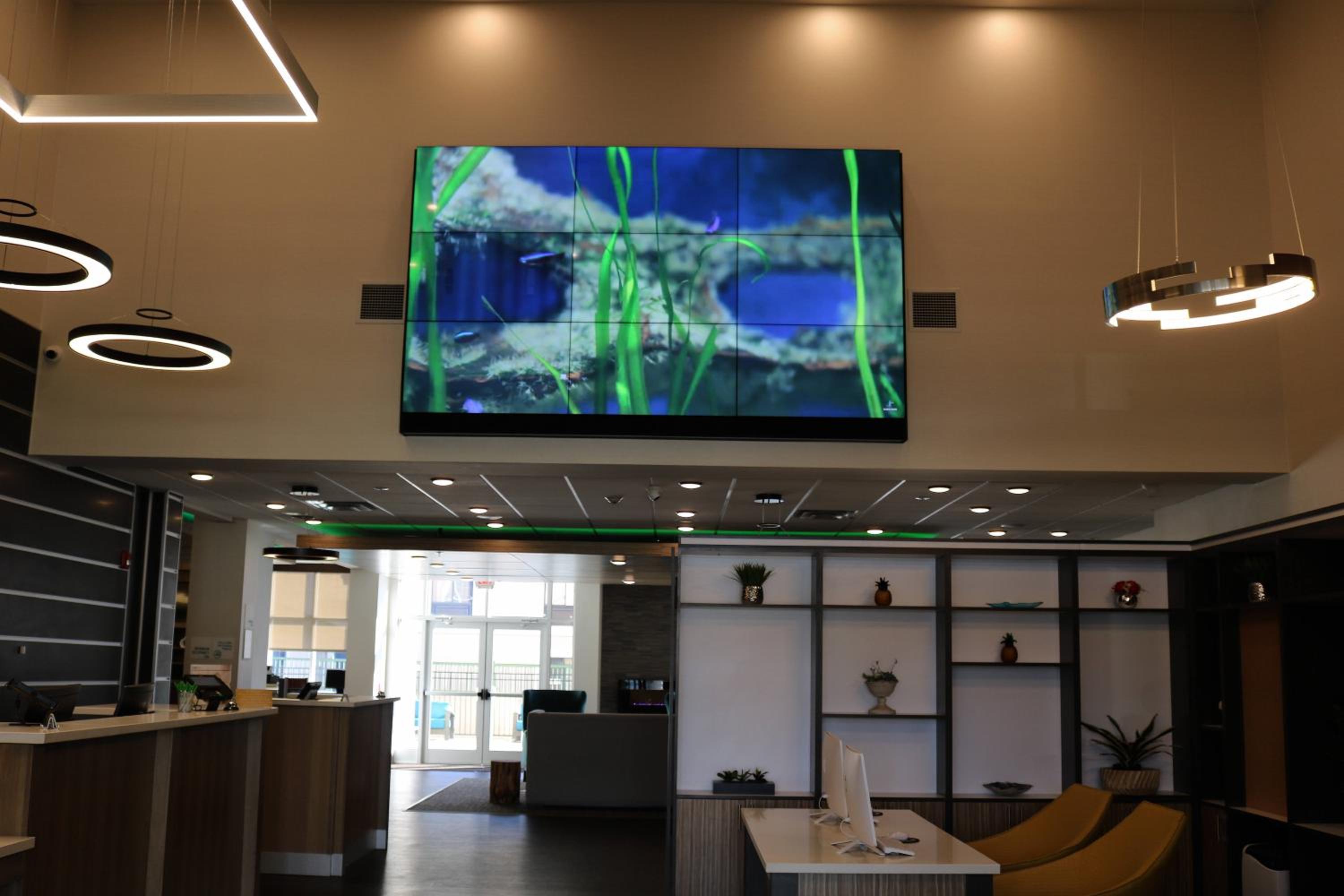 Jonesboro Vacations - Holiday Inn - Jonesboro, an IHG Hotel - Property Image 4