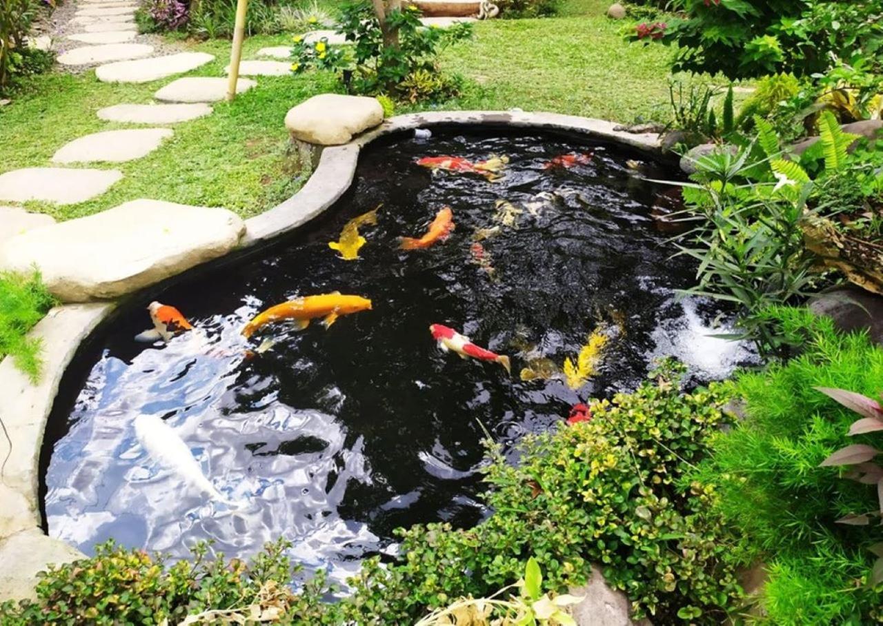 Photo 31