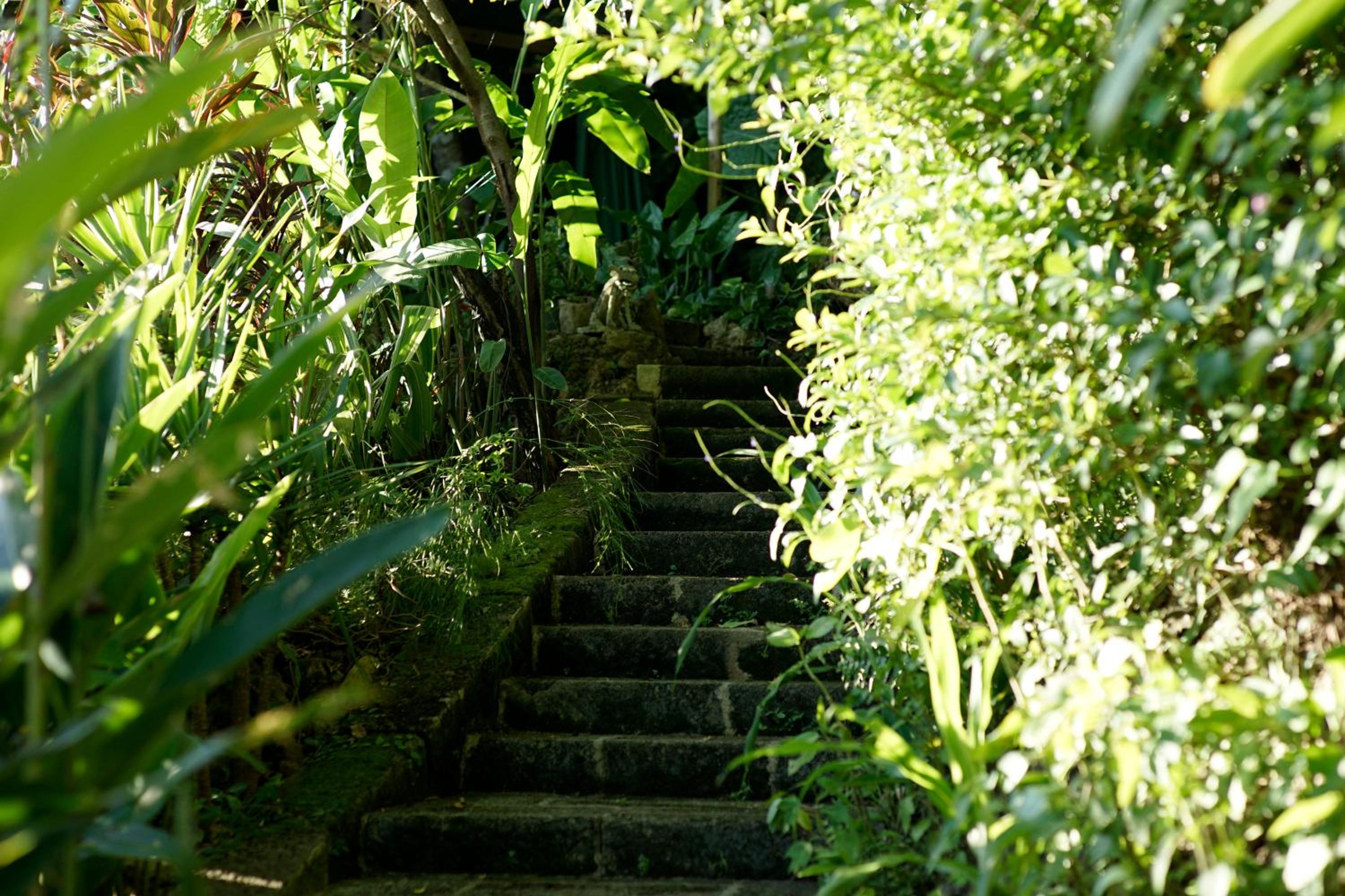Villa SACHIIBARU 浜辺の茶屋 の 宿