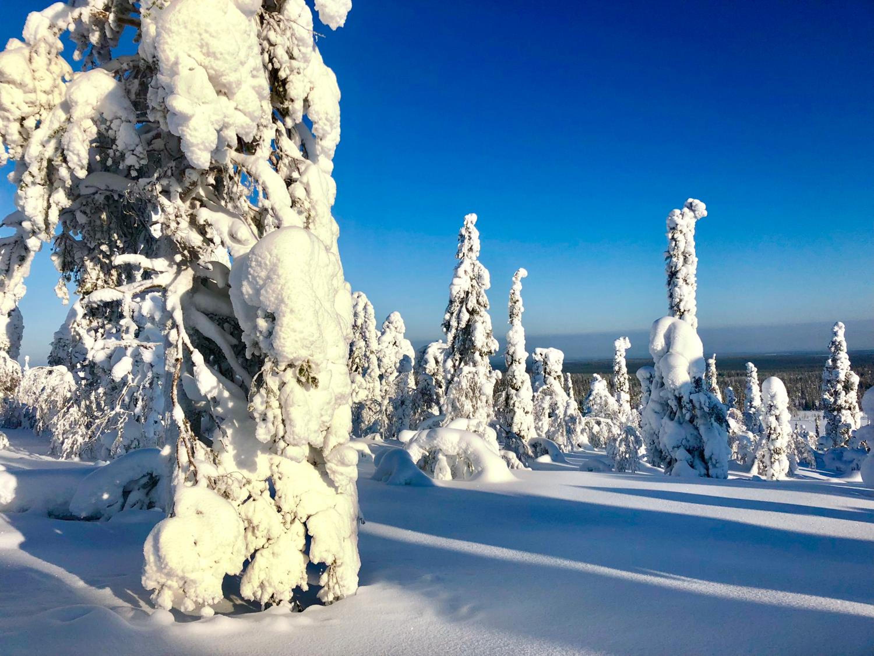 Lapland Tunturimaja Ski-in - Lapland Villas - Slopes, trails, national park, just steps from local amenities, yet peaceful, private sauna view 2