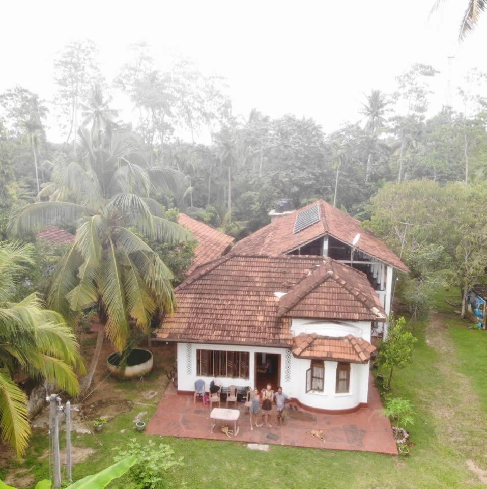 Siri medura surf yoga meditation guesthouse and hostel view 2