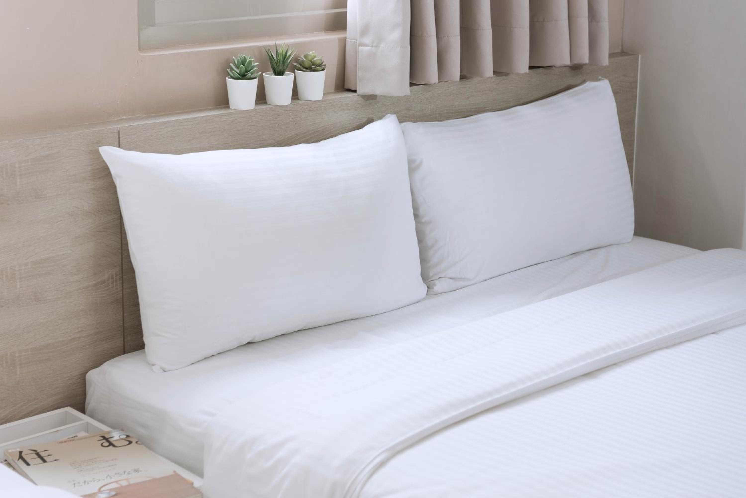 Uno Backpackers Inn