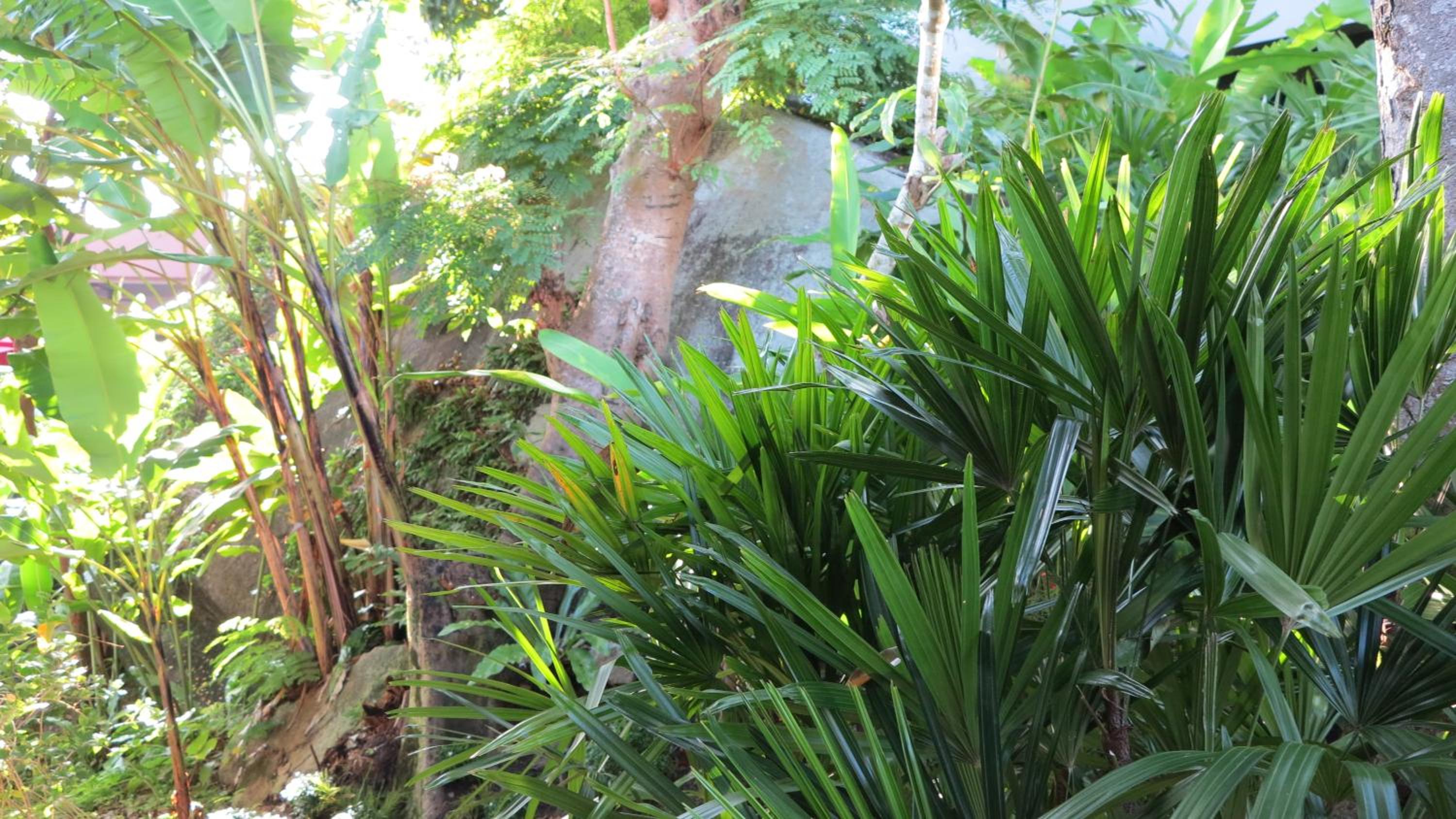 Photo 43