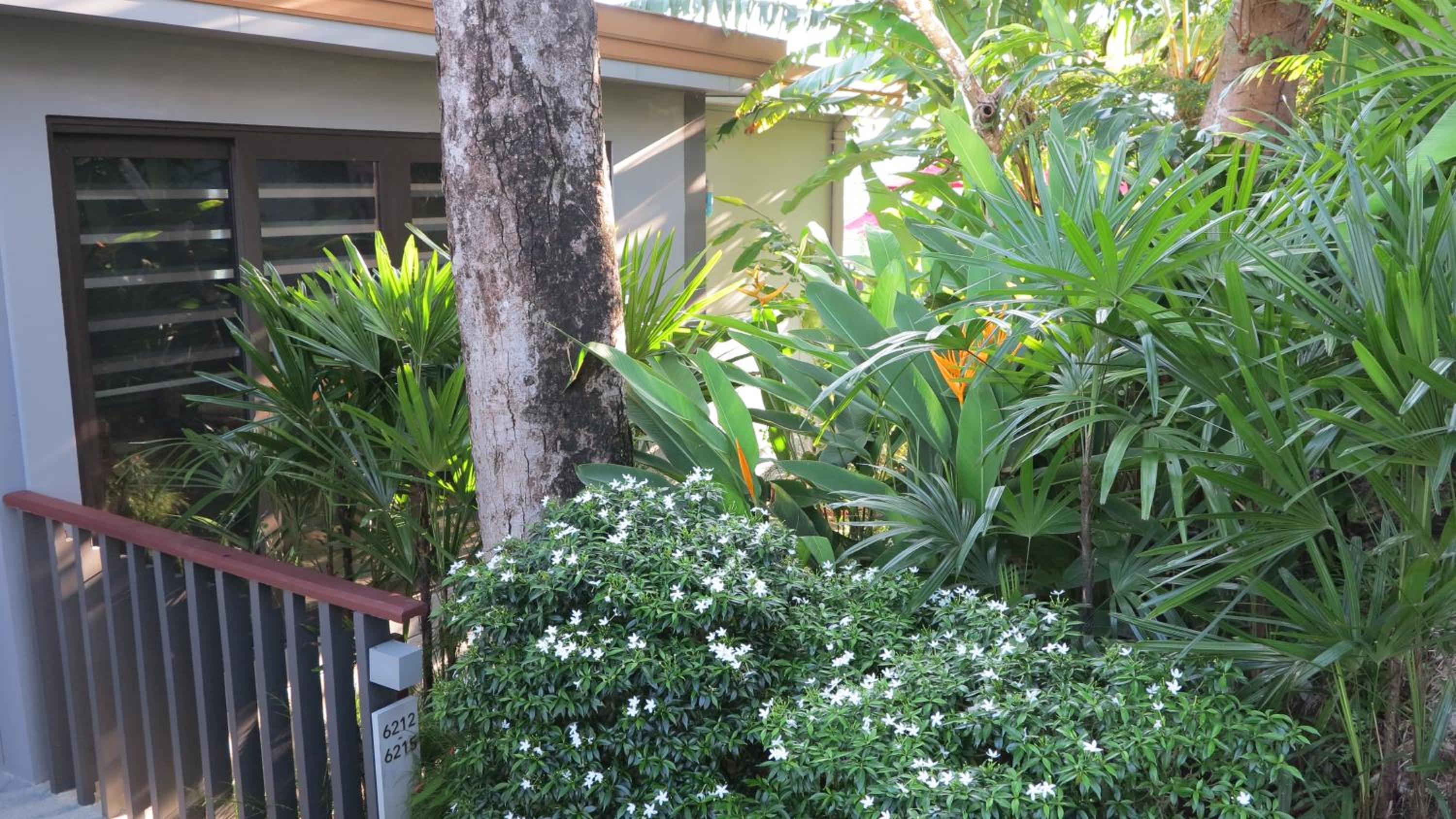 Photo 44